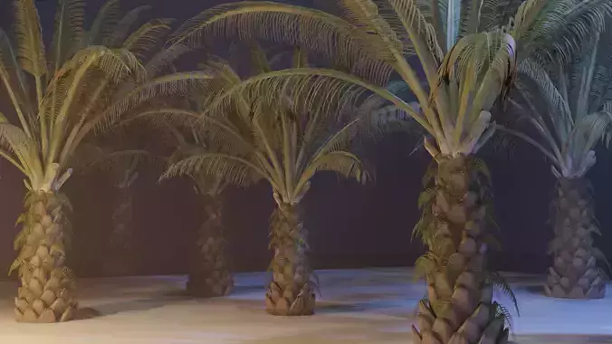 Oil Palm Tree Model 3D model