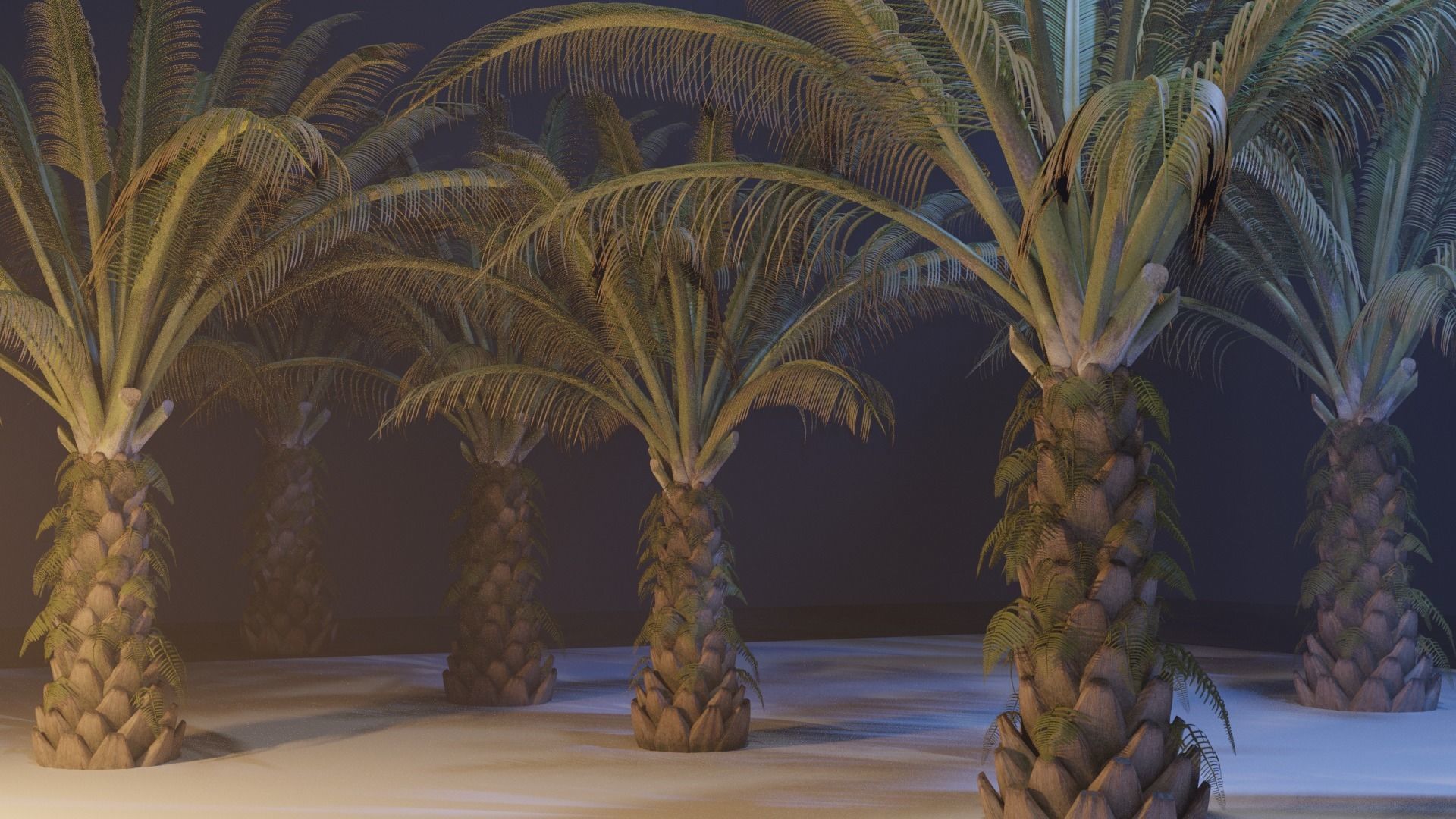 Oil Palm Tree Model 3D model_0