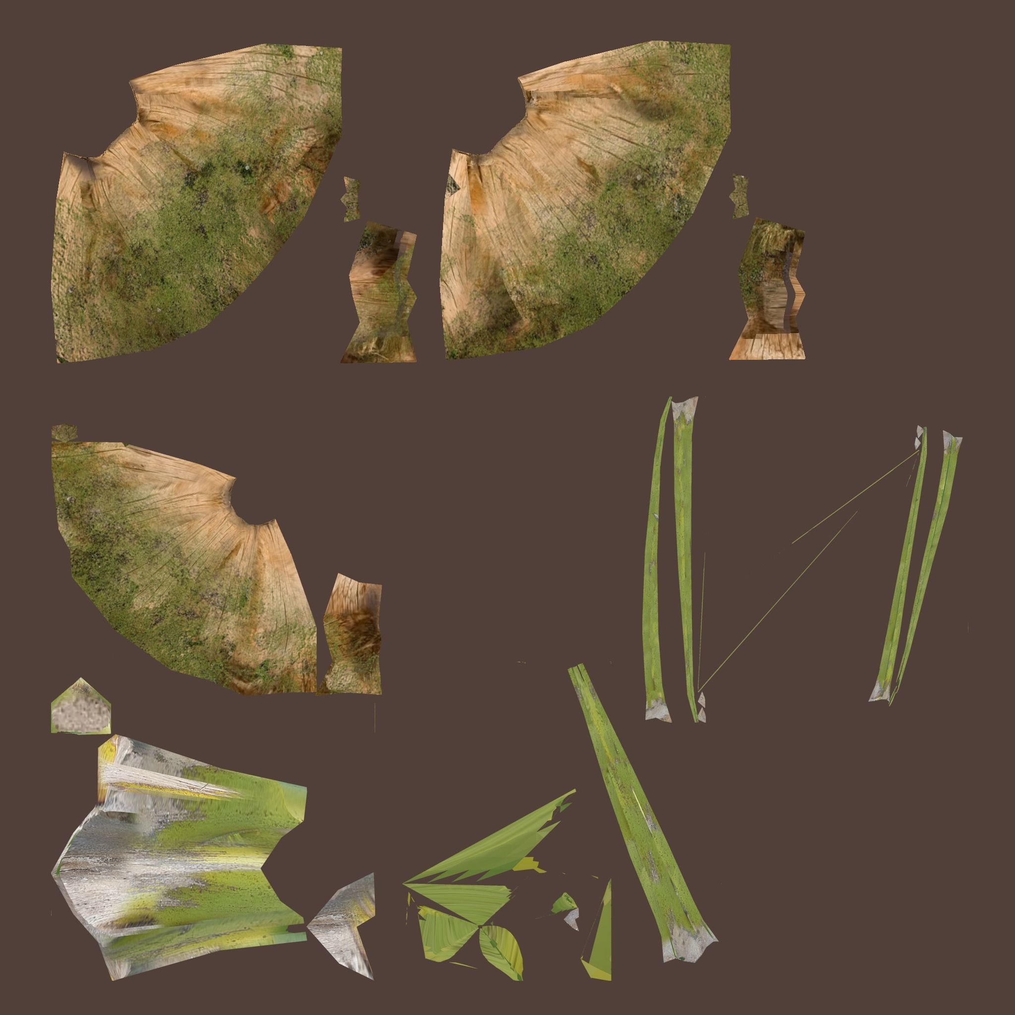 Oil Palm Tree Model 3D model_3