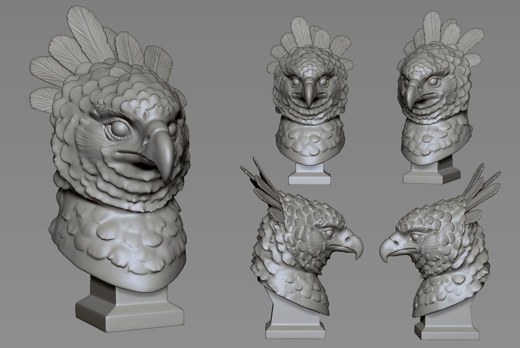 Harpy Eagle 3D print model_4