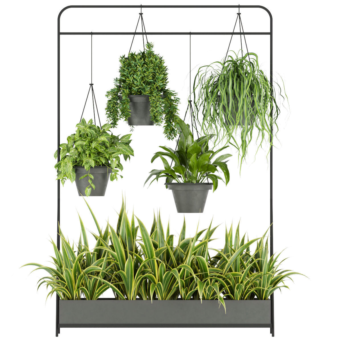 Collection plant vol 257 - indoor 3D model_3