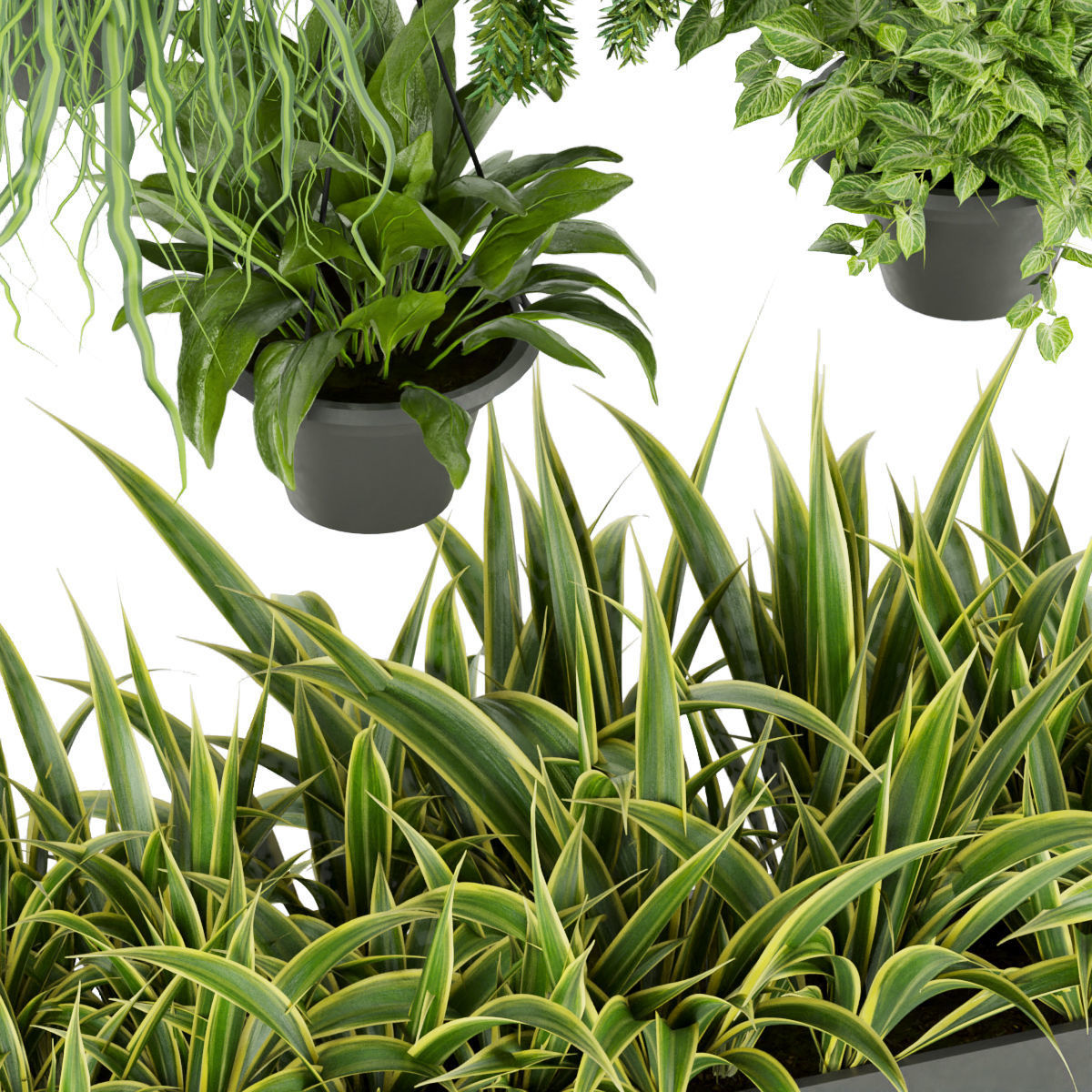 Collection plant vol 257 - indoor 3D model_8
