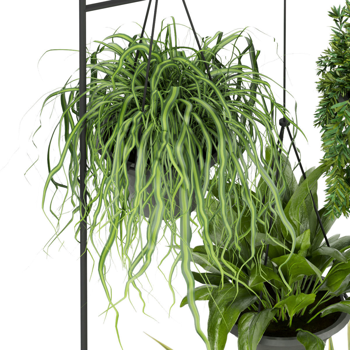 Collection plant vol 257 - indoor 3D model_7