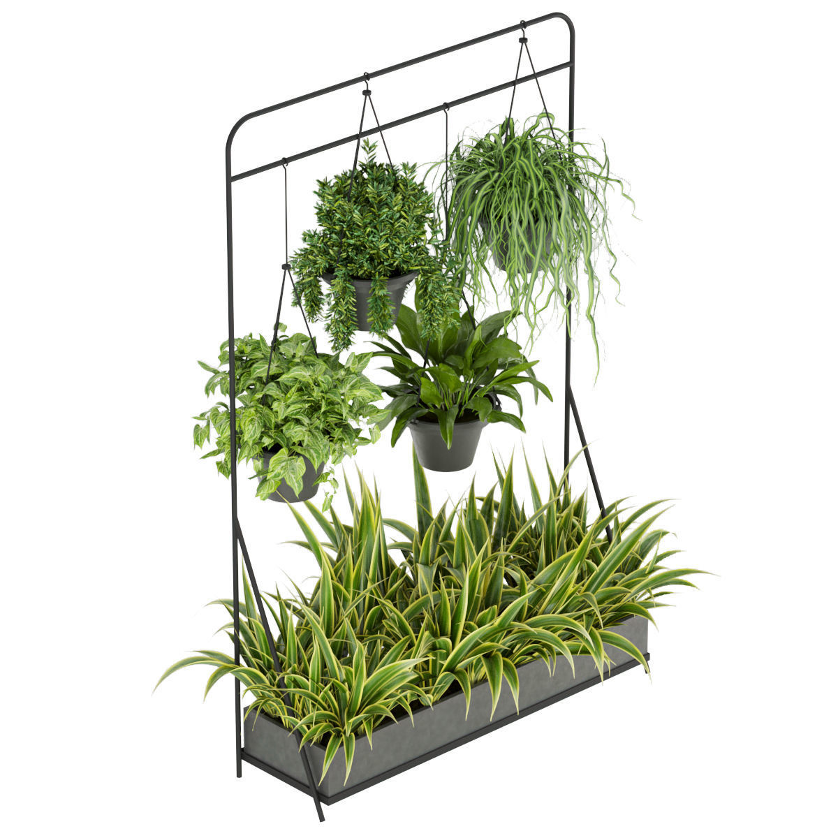 Collection plant vol 257 - indoor 3D model_2