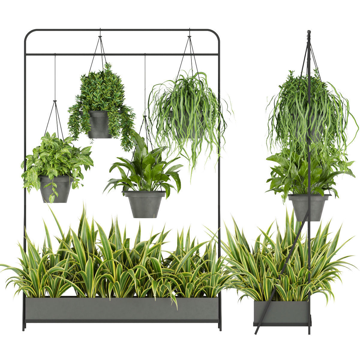 Collection plant vol 257 - indoor 3D model_4