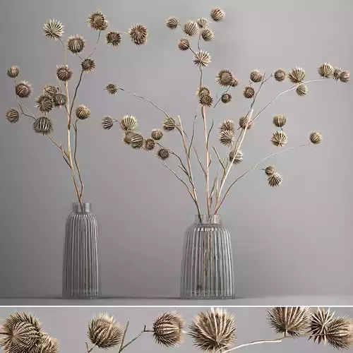 Bouquet of dried flowers in a glass vase 182