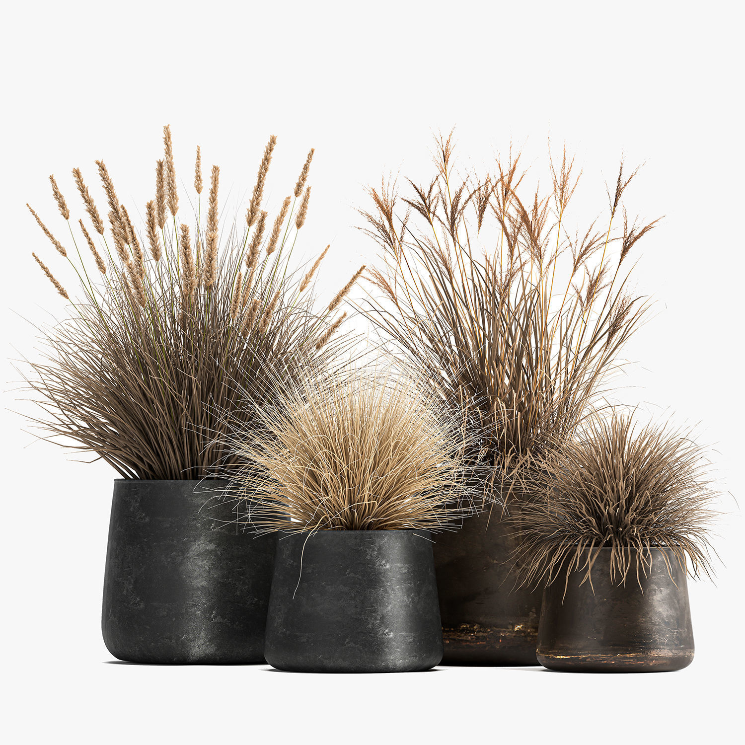 Dried Reeds in a rusty Flowerpot for the interior 1058 3D model_1