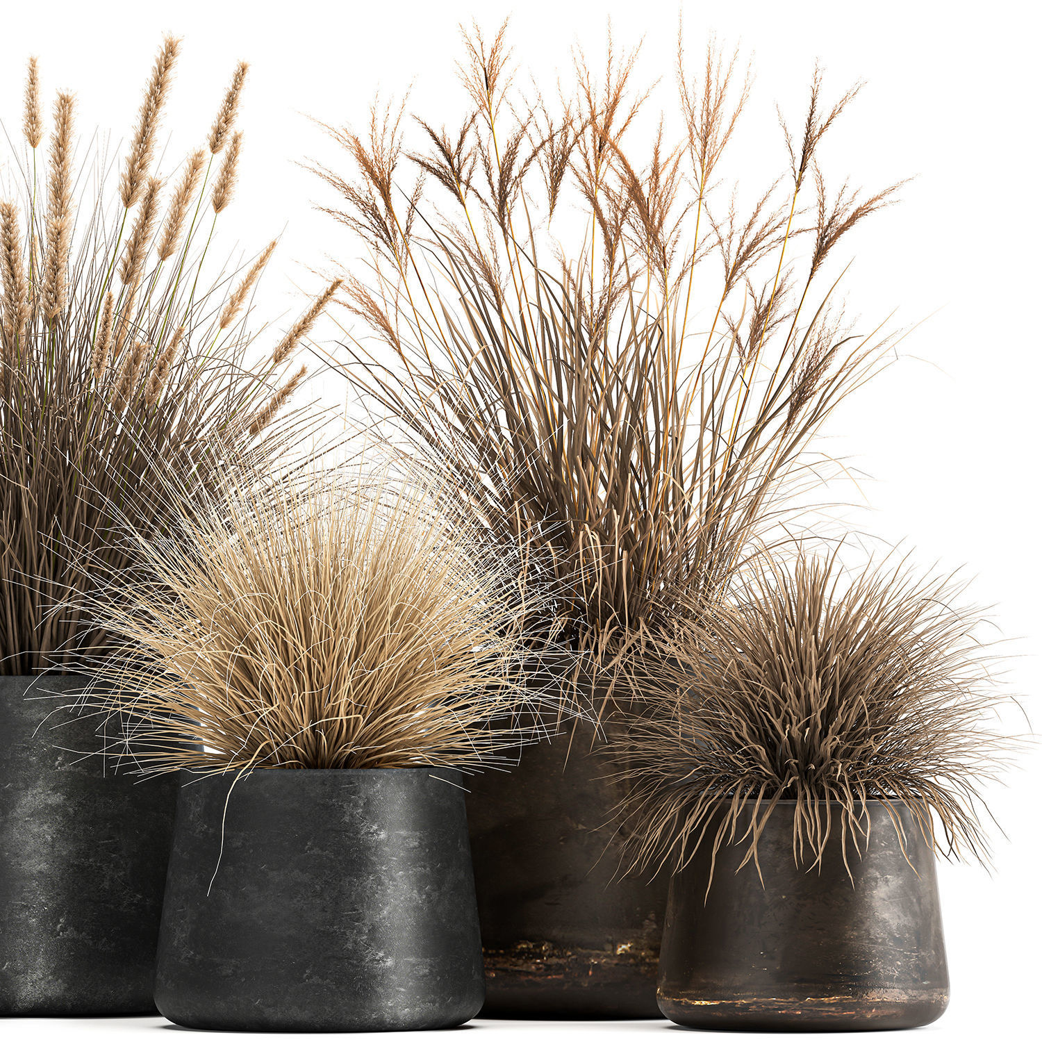 Dried Reeds in a rusty Flowerpot for the interior 1058 3D model_4