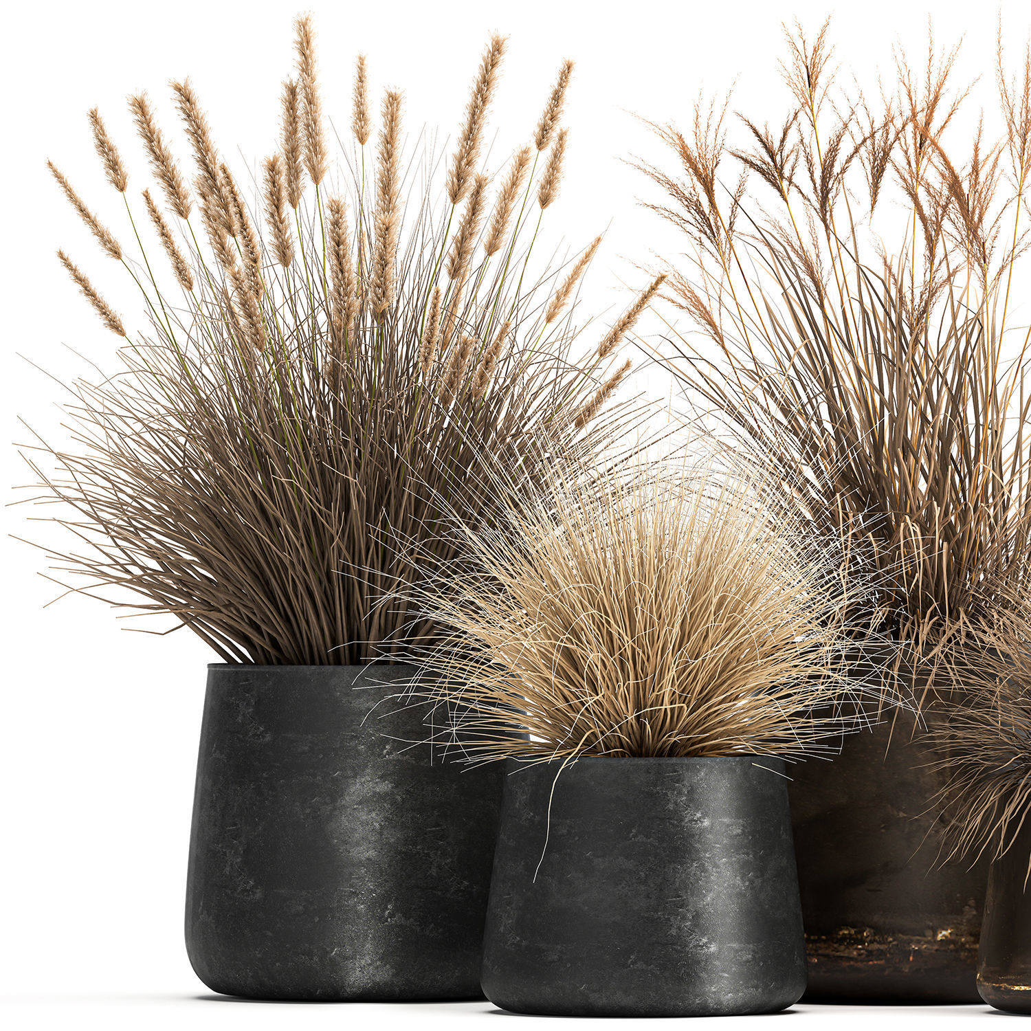 Dried Reeds in a rusty Flowerpot for the interior 1058 3D model_3