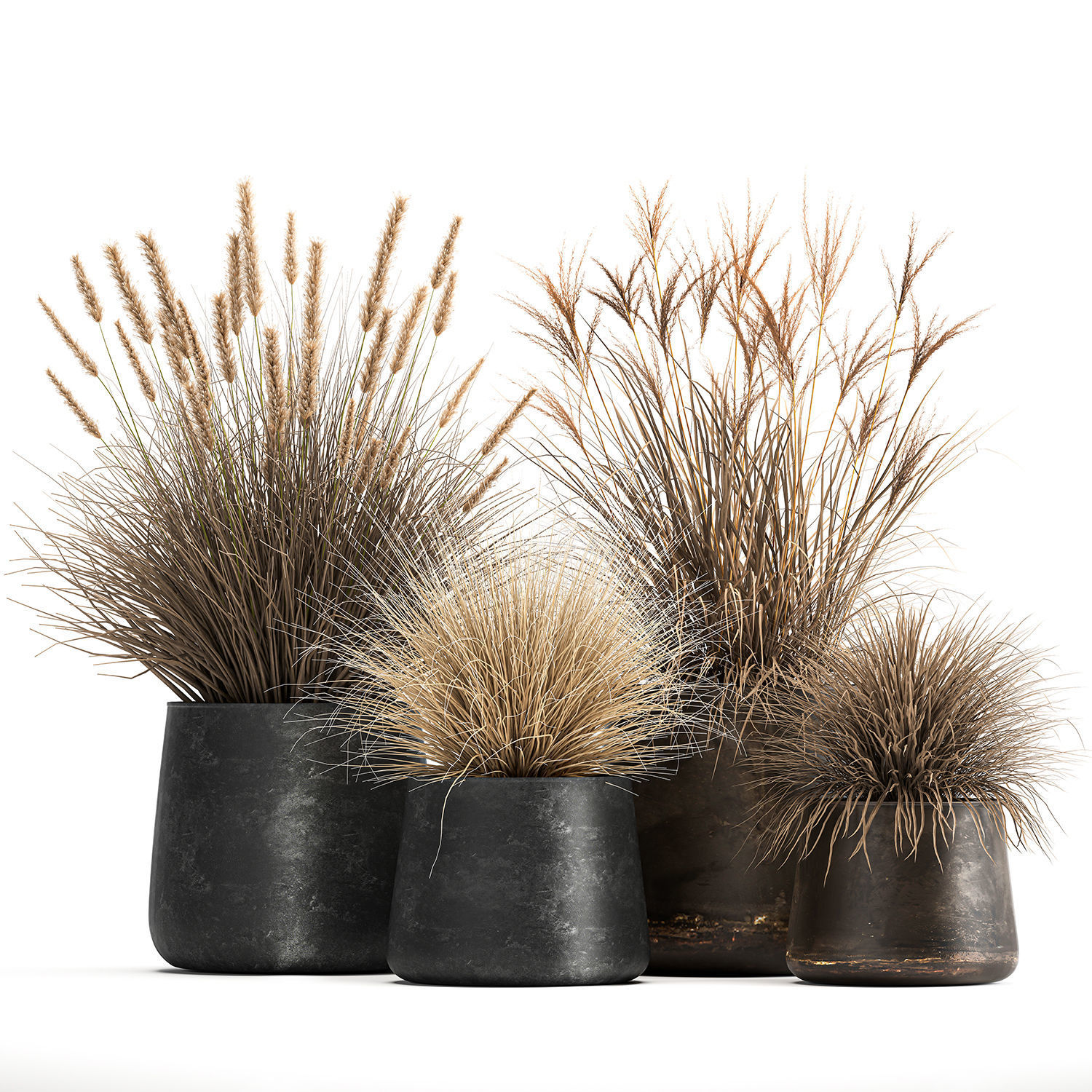 Dried Reeds in a rusty Flowerpot for the interior 1058 3D model_2