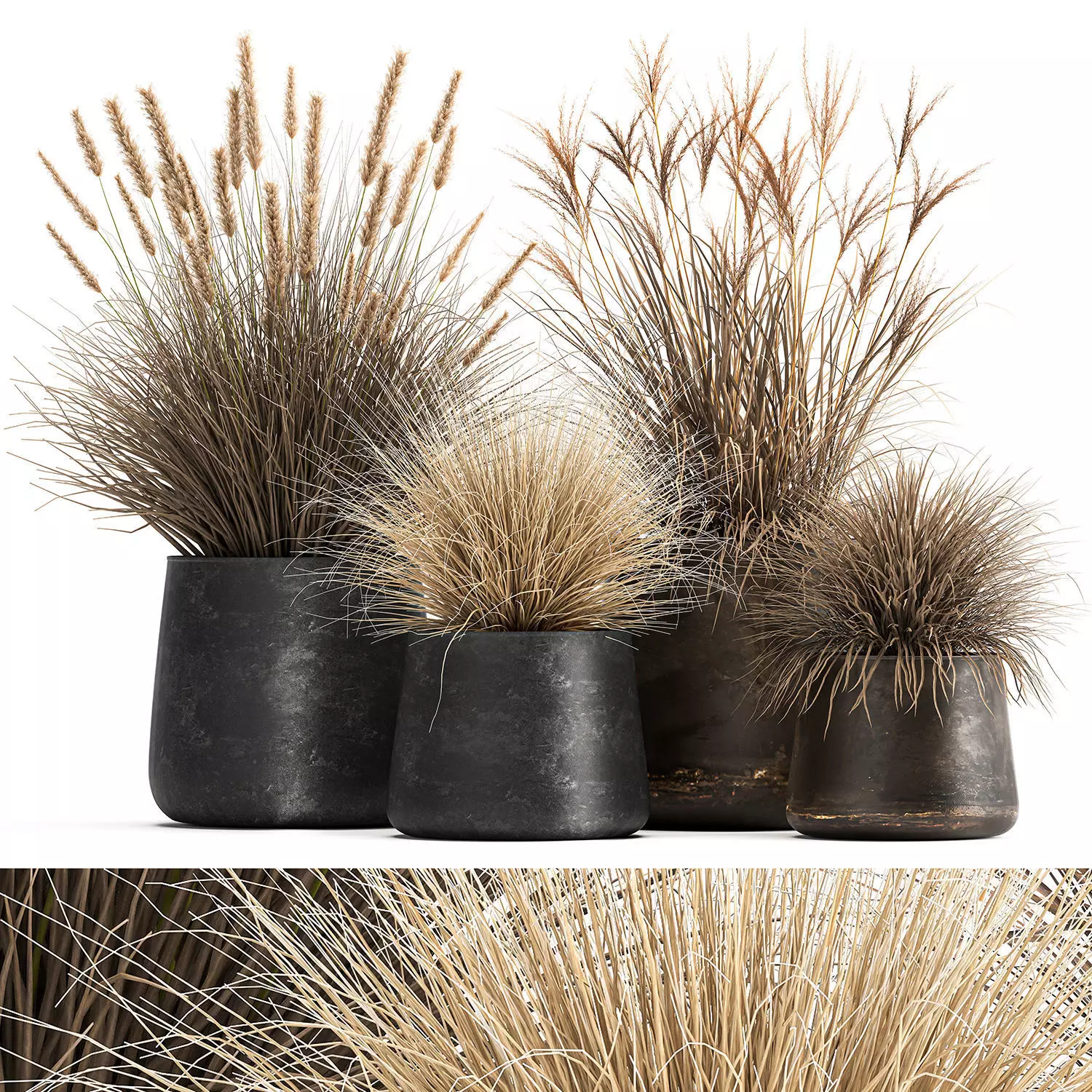 Dried Reeds in a rusty Flowerpot for the interior 1058 3D model_0