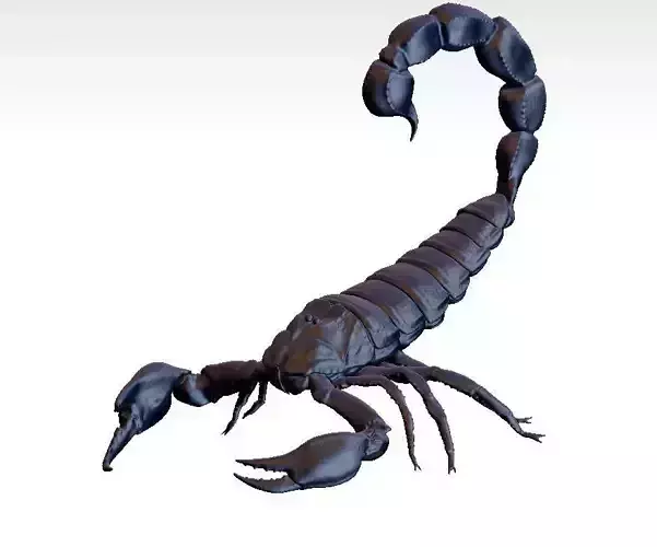 scorpion 3D print model