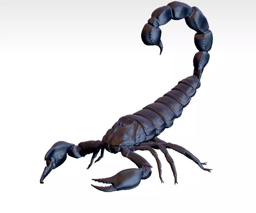 scorpion 3D print model_0