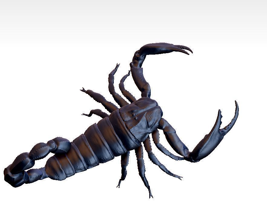 scorpion 3D print model_1
