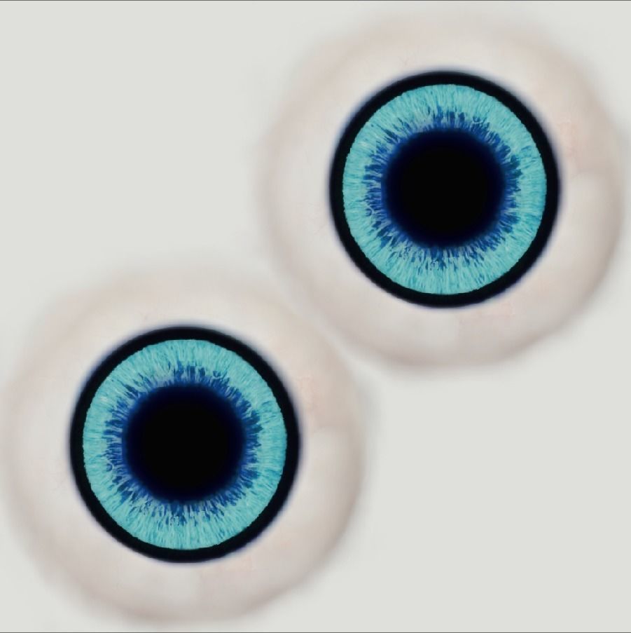 Cartoon Elephant -- Textured and Rigged Low-poly 3D model_7