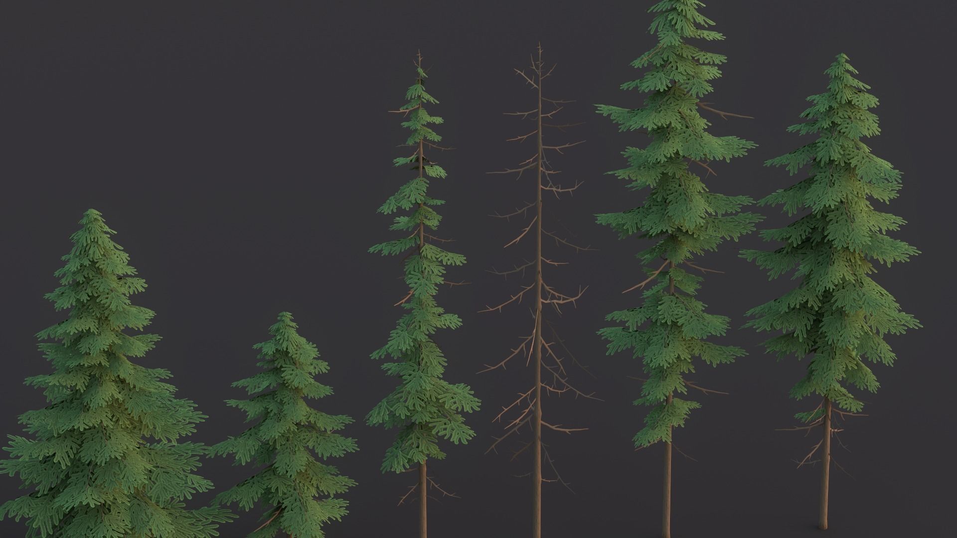 Pine Tree Pack Low Poly G90 Low-poly 3D model_10