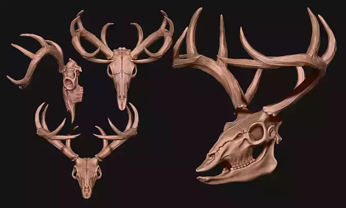 Deer Skull - CNC and 3D print model