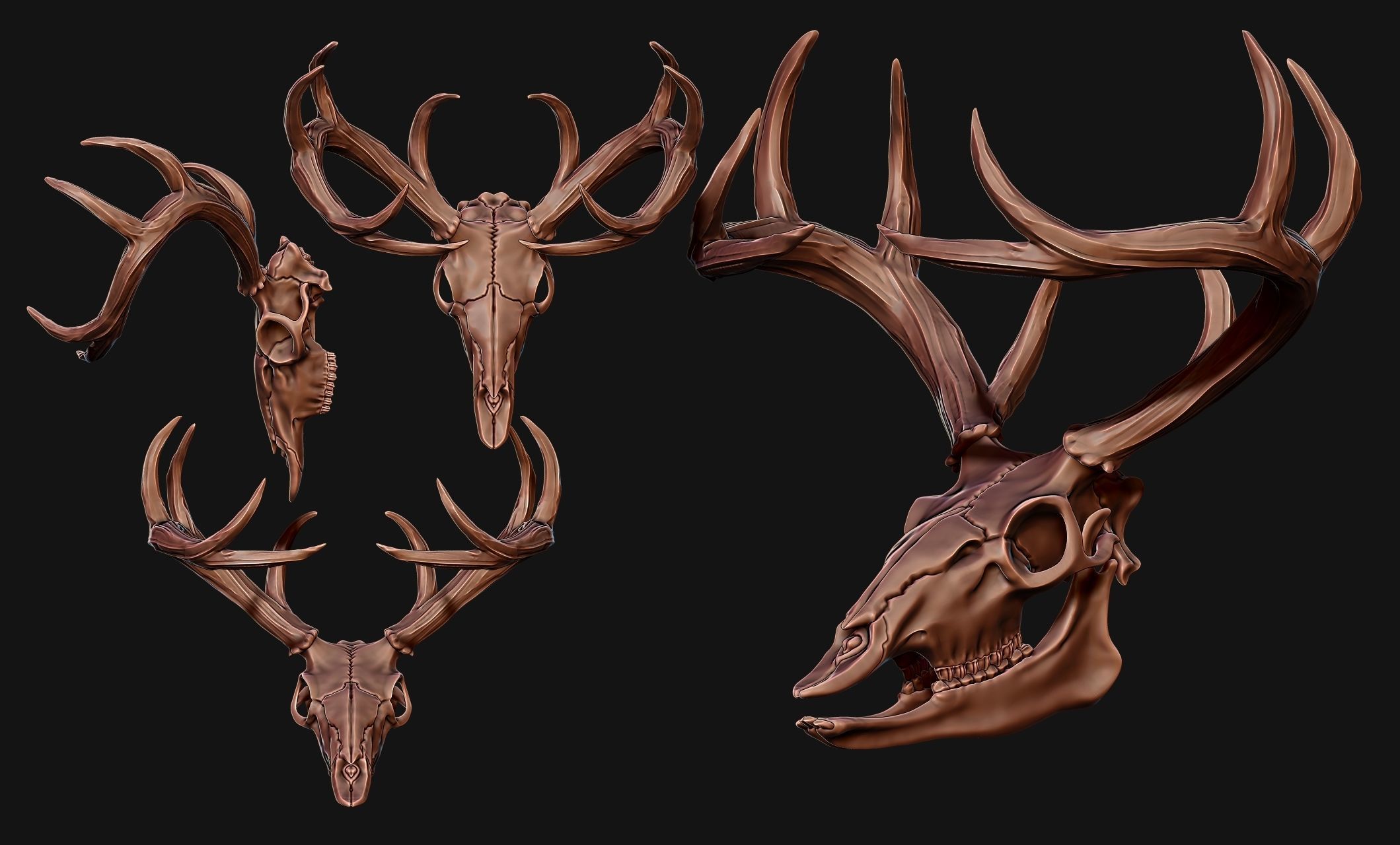 Deer Skull - CNC and 3D print model_15