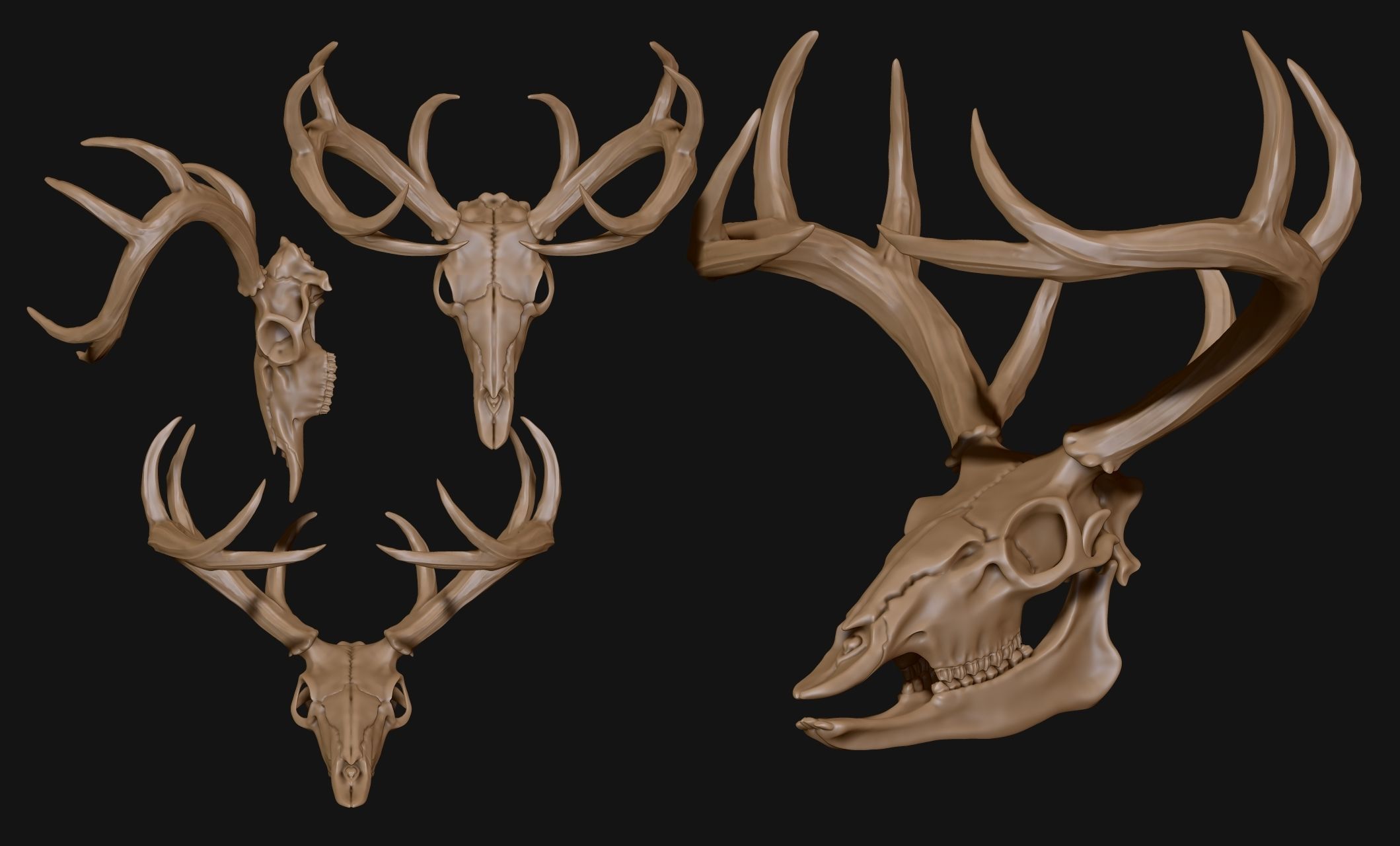 Deer Skull - CNC and 3D print model_19