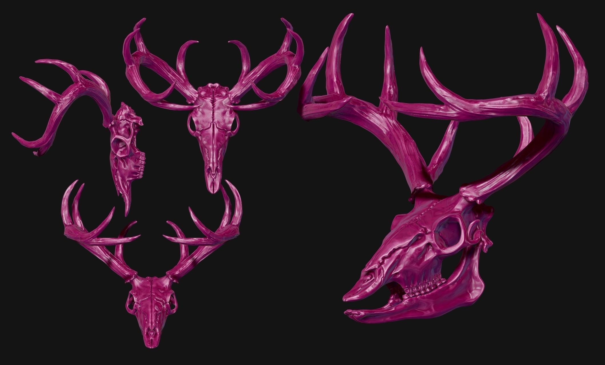 Deer Skull - CNC and 3D print model_18