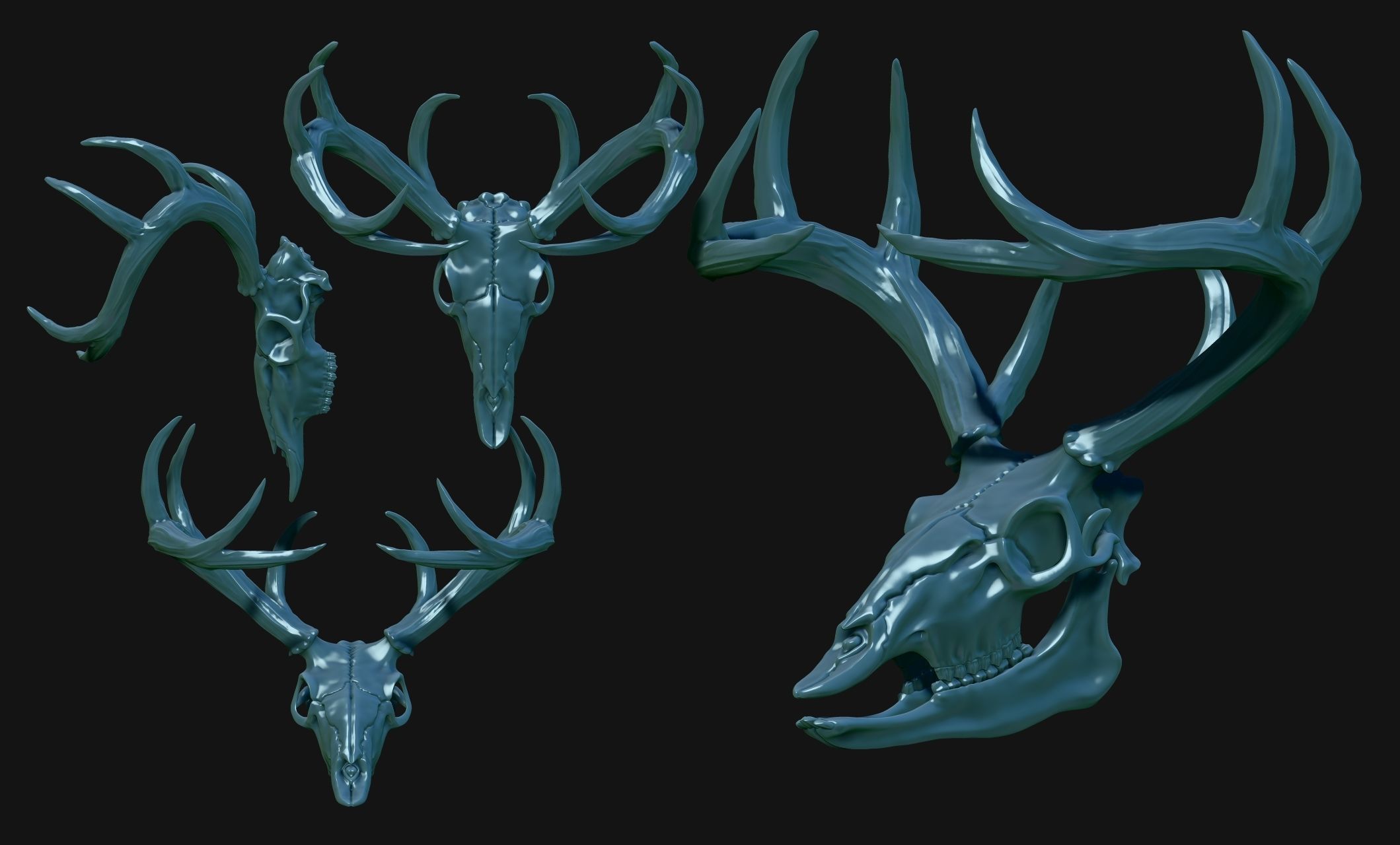 Deer Skull - CNC and 3D print model_11
