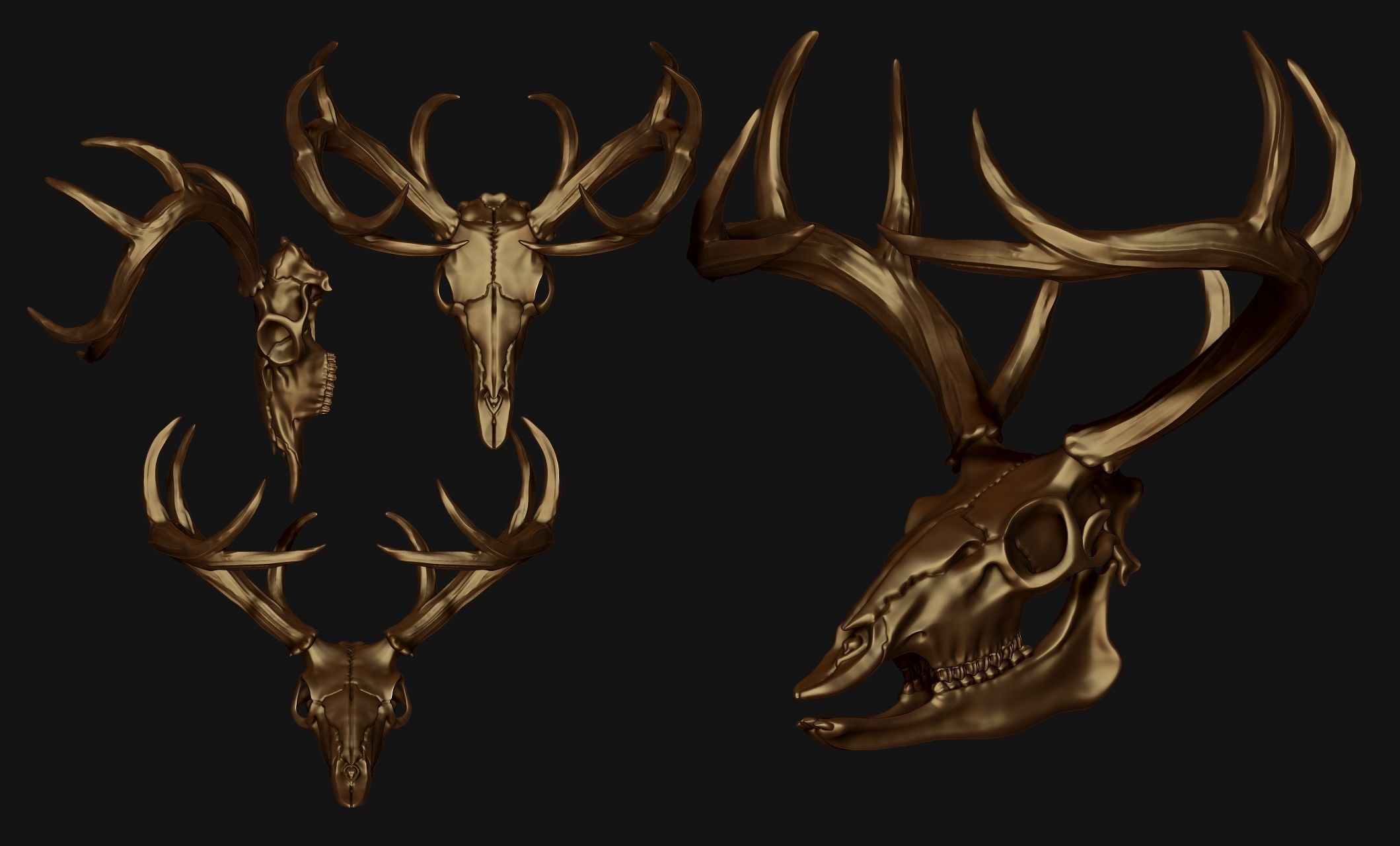 Deer Skull - CNC and 3D print model_10