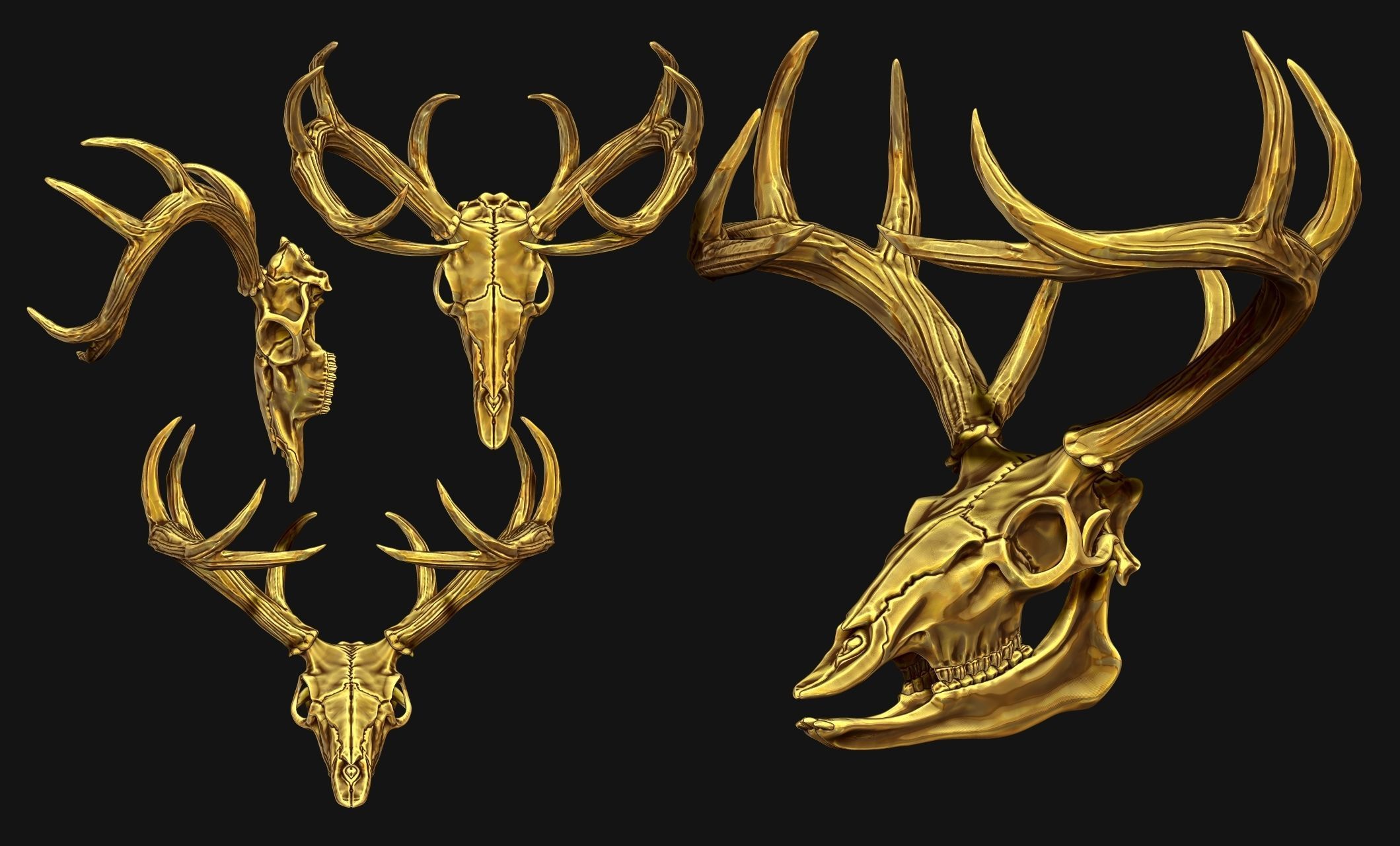 Deer Skull - CNC and 3D print model_6
