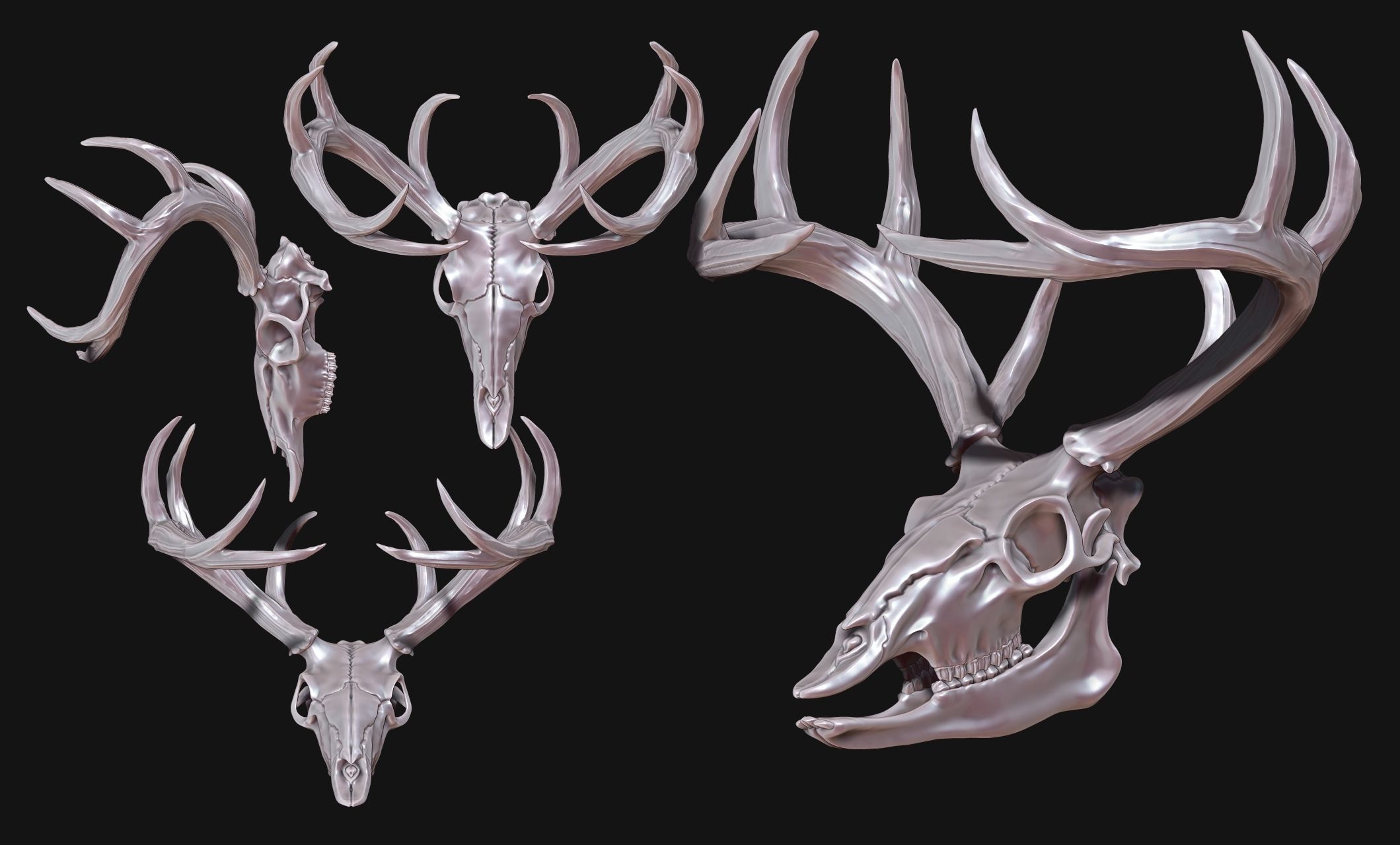 Deer Skull - CNC and 3D print model_7