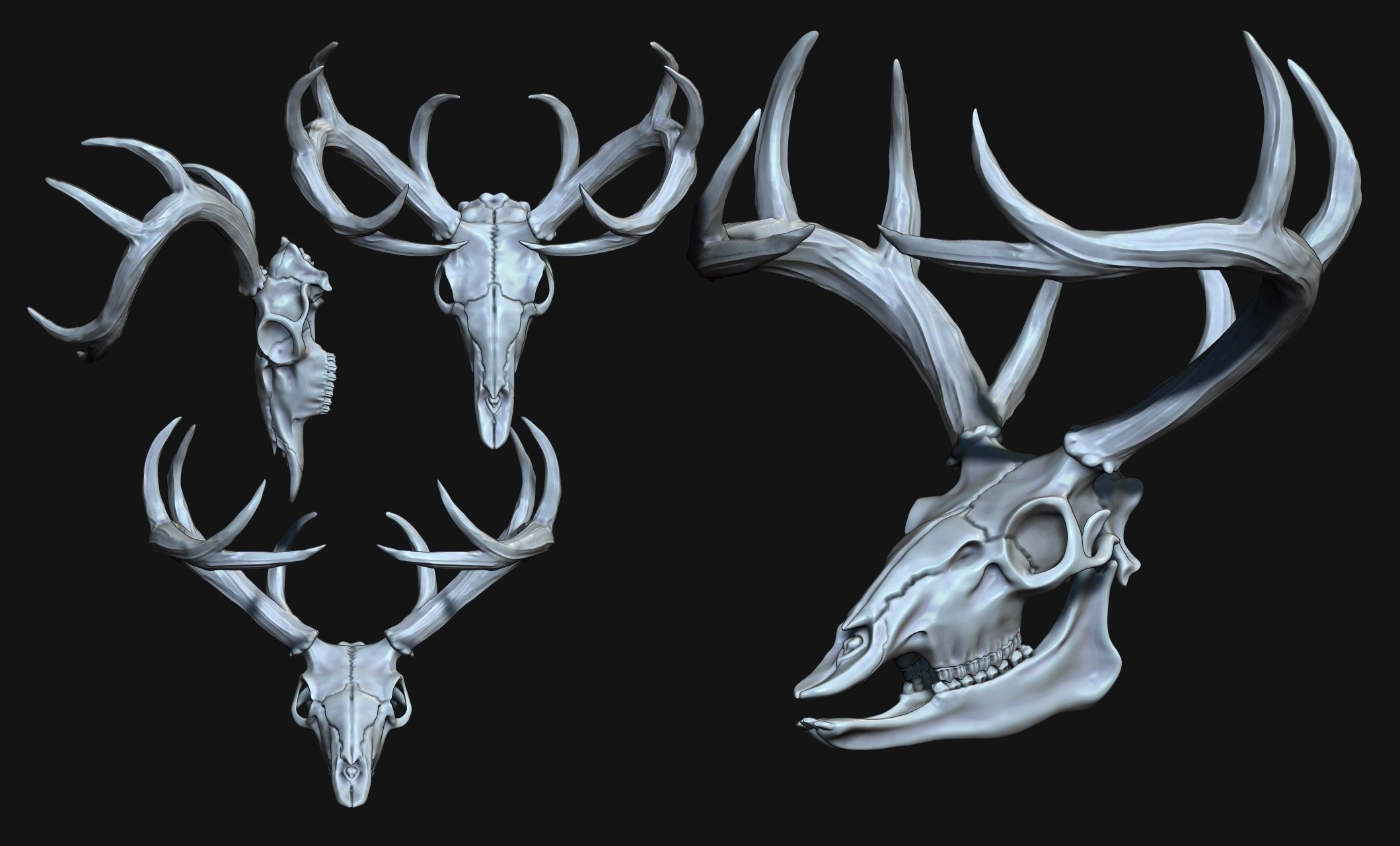 Deer Skull - CNC and 3D print model_3