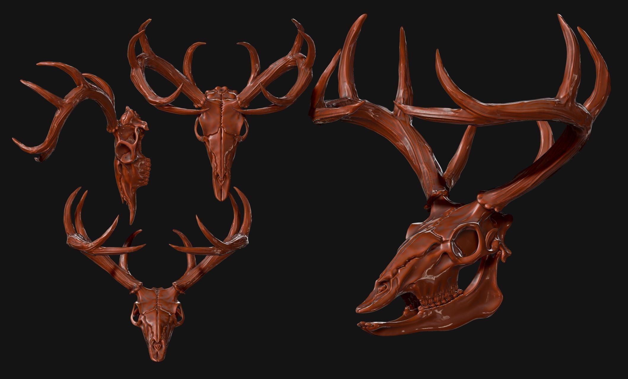 Deer Skull - CNC and 3D print model_8