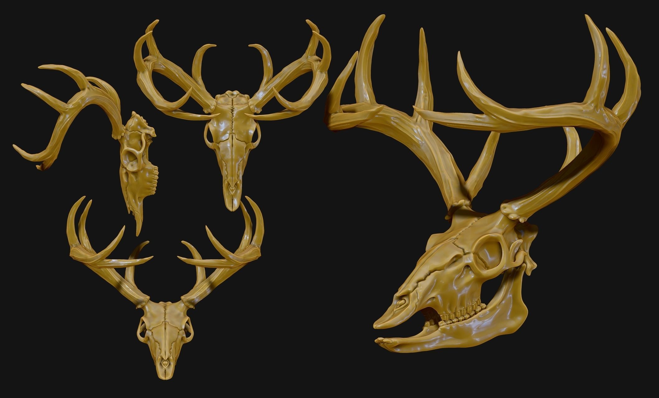 Deer Skull - CNC and 3D print model_17