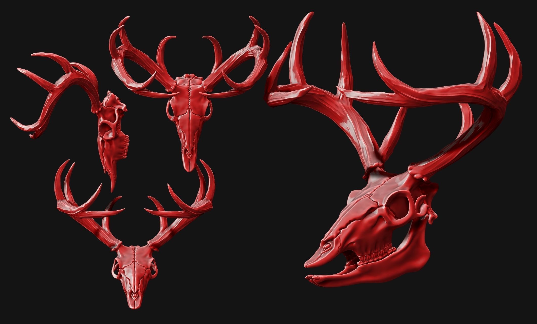 Deer Skull - CNC and 3D print model_5