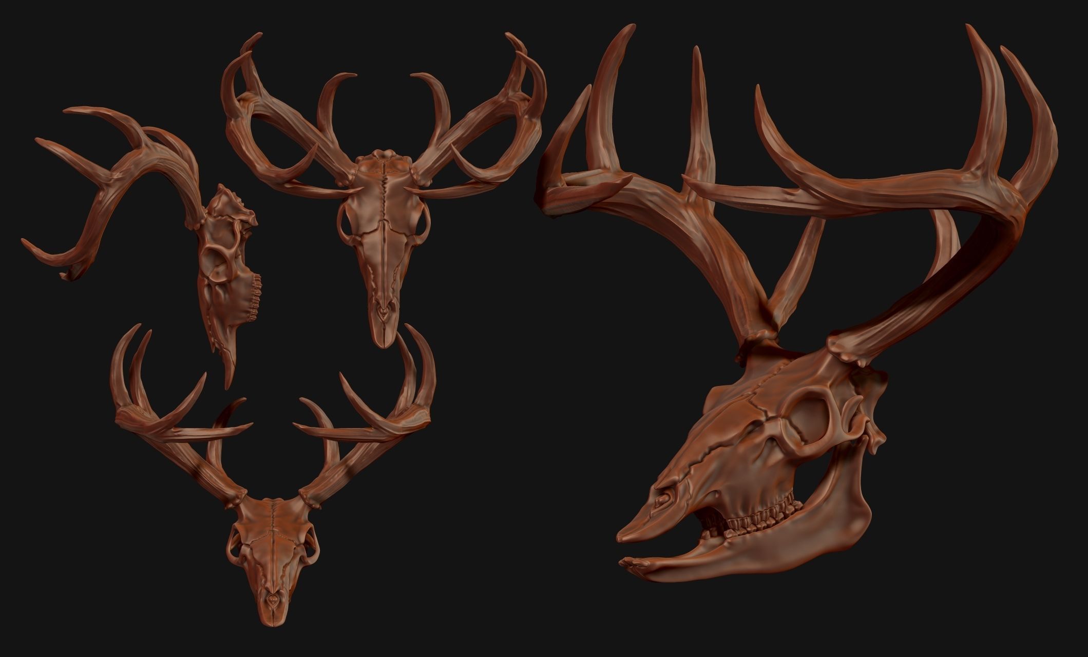 Deer Skull - CNC and 3D print model_9