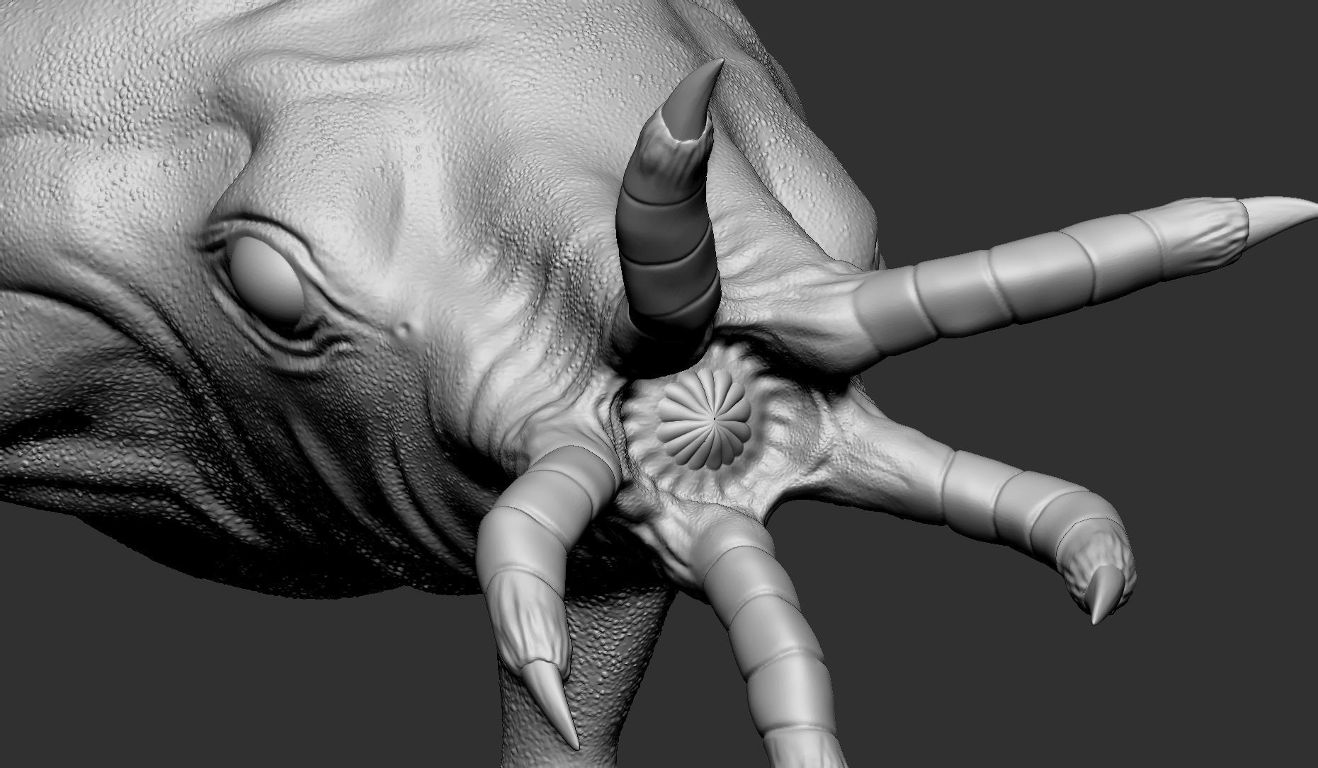 Bullsquid - STL 3D Print - Half Life 3D print model_2