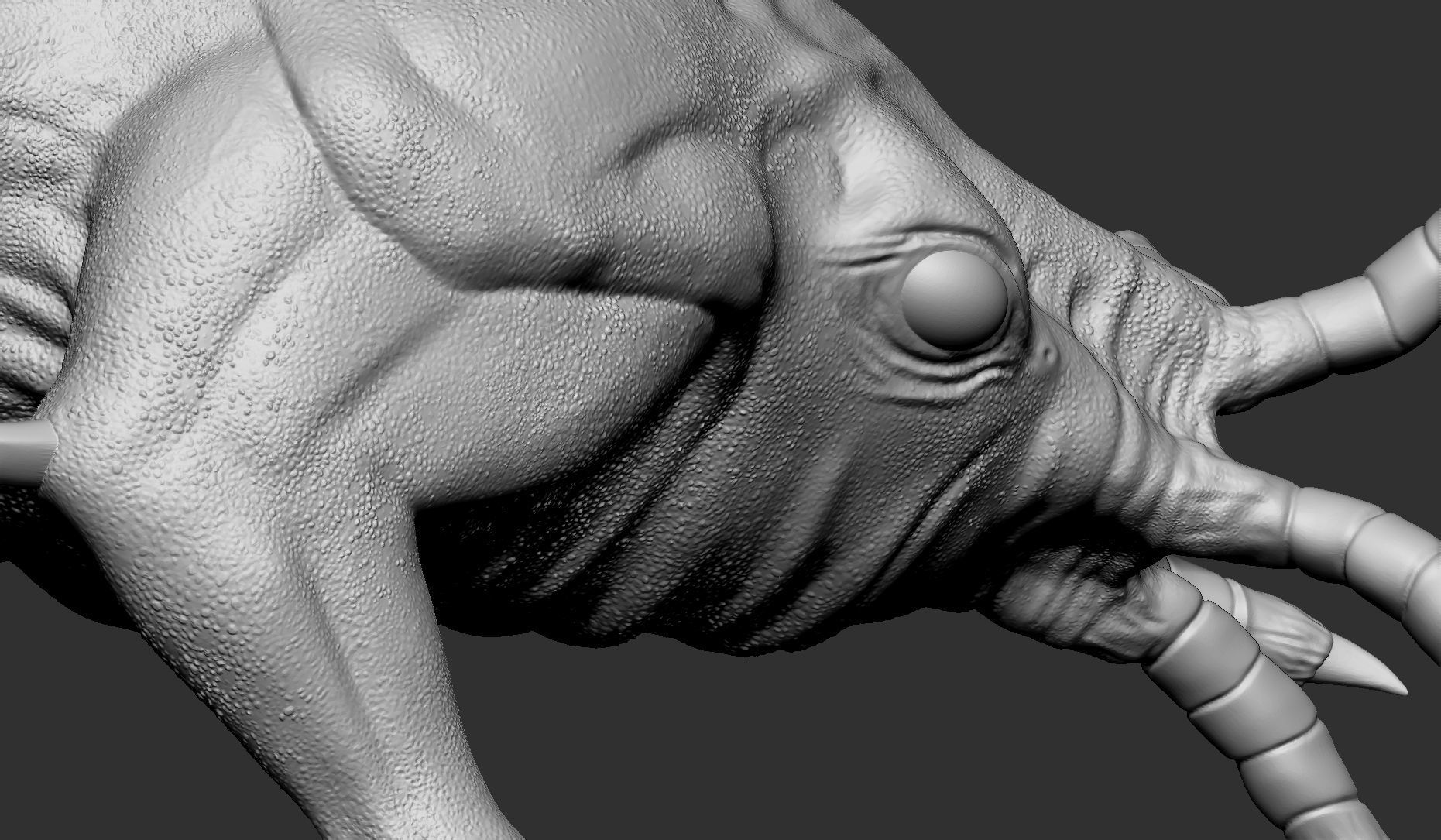 Bullsquid - STL 3D Print - Half Life 3D print model_3