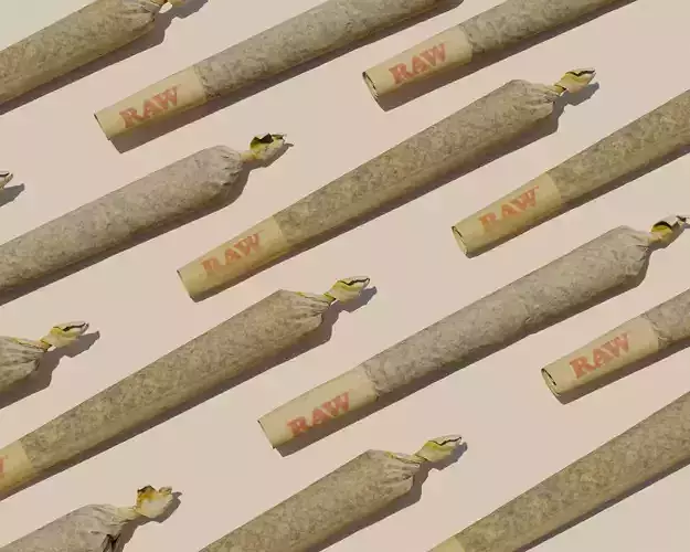Photoscanned Pre-Roll Joint 3D Model Cannabis 3D model