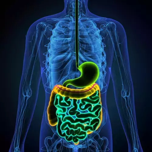 blue human male body anatomy