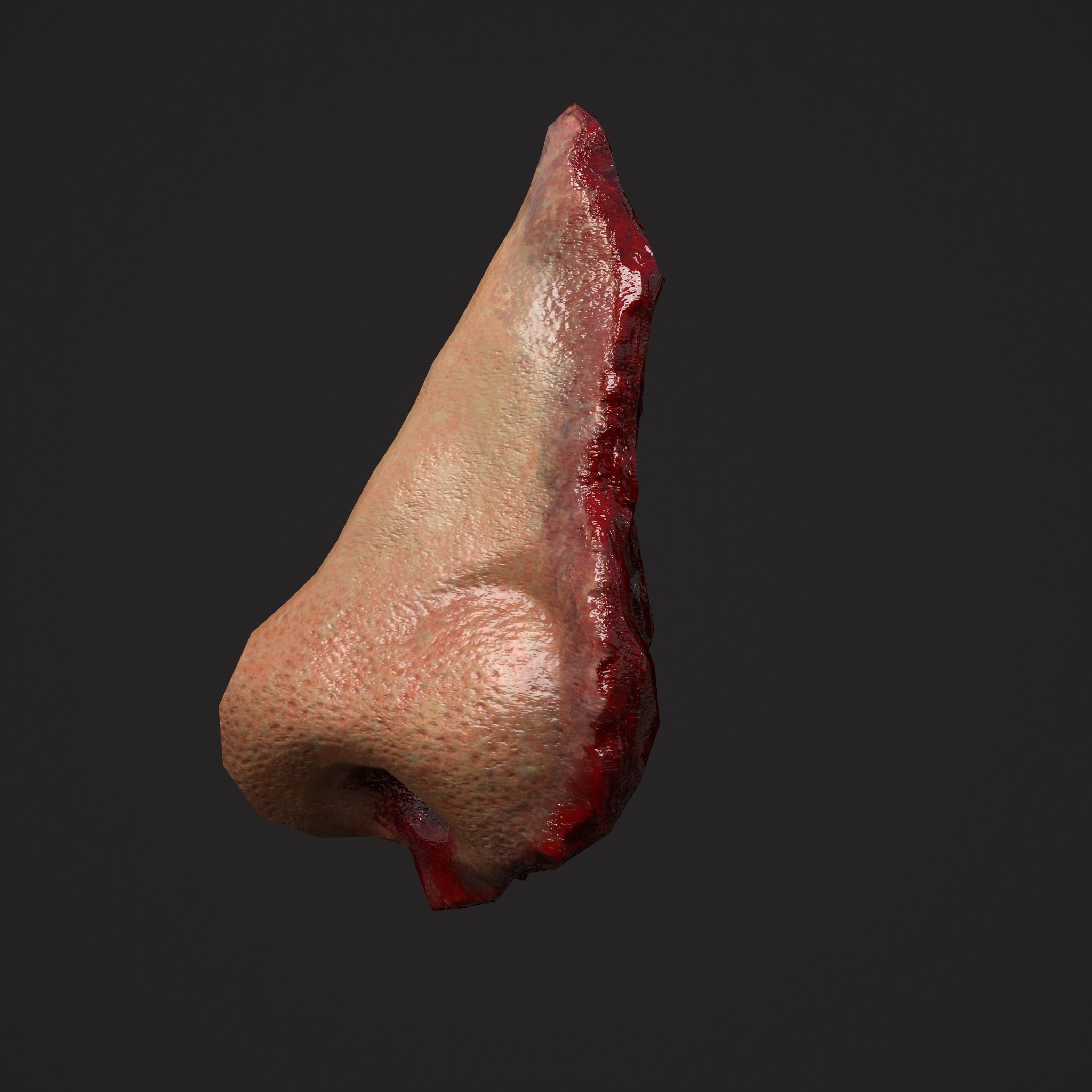 Severed Torso Toes Nose Ear Pack 3D Model Collection_28
