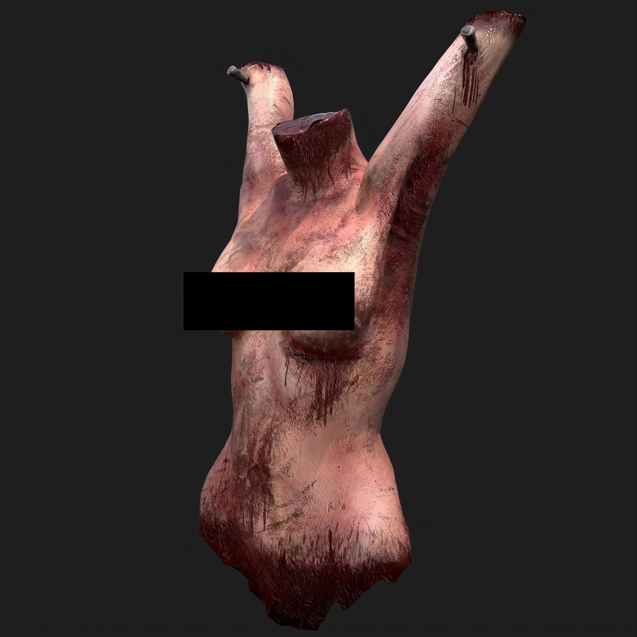 Severed Torso Toes Nose Ear Pack 3D Model Collection_13