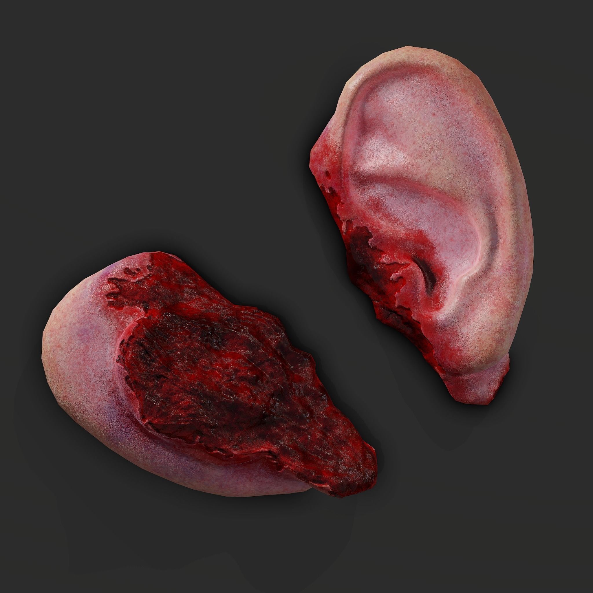 Severed Torso Toes Nose Ear Pack 3D Model Collection_59