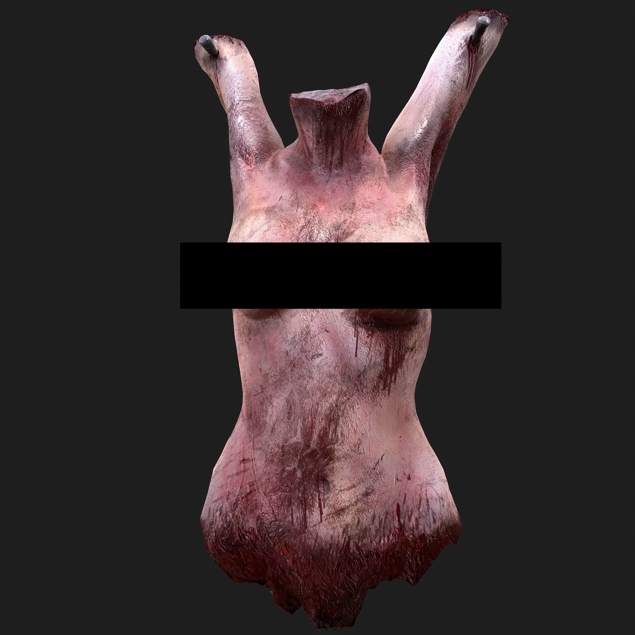 Severed Torso Toes Nose Ear Pack 3D Model Collection_15