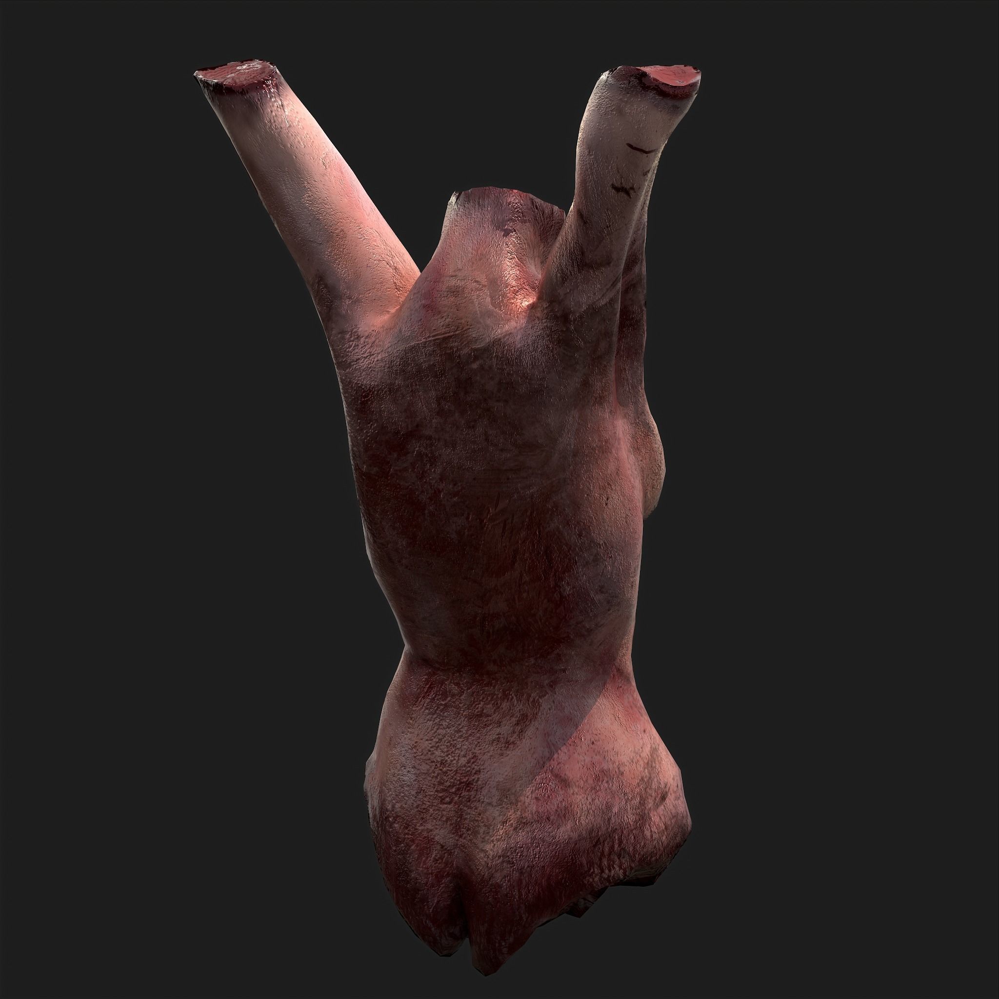 Severed Torso Toes Nose Ear Pack 3D Model Collection_9