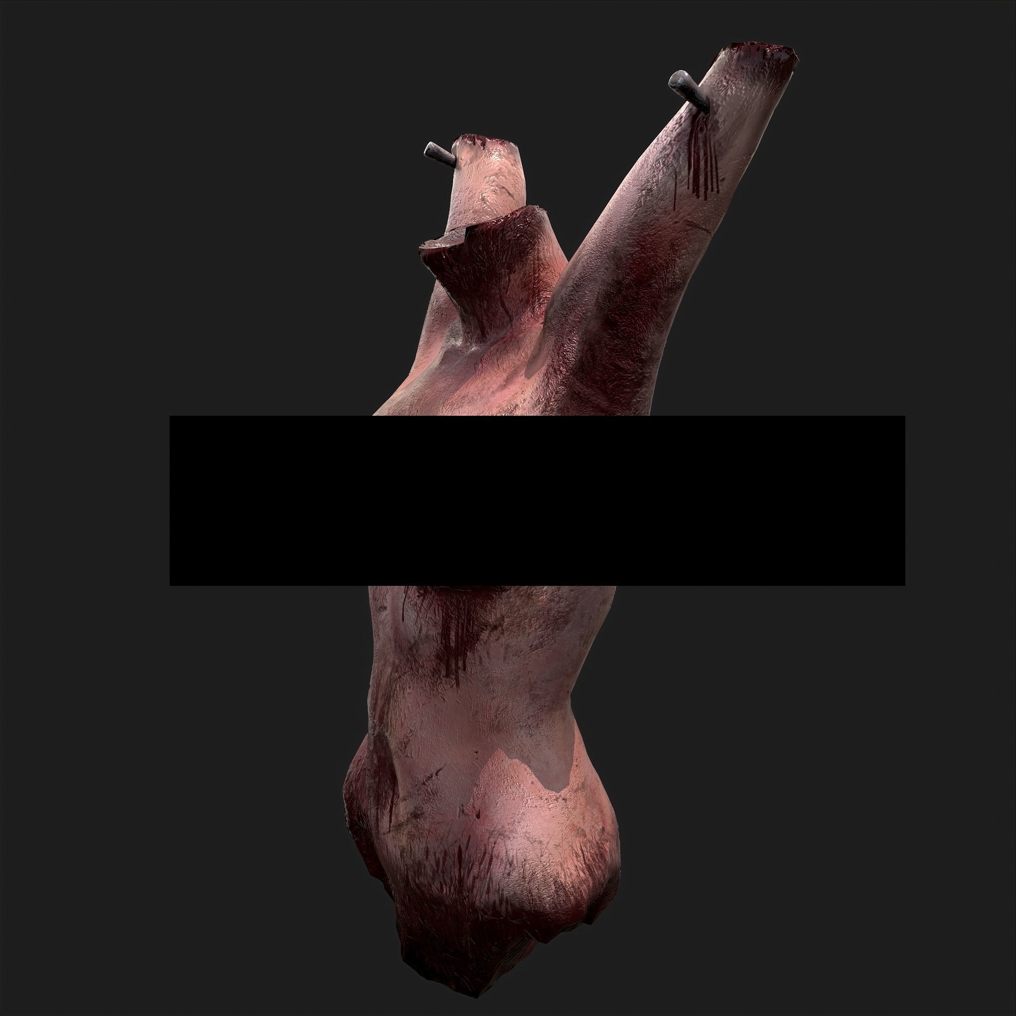 Severed Torso Toes Nose Ear Pack 3D Model Collection_12