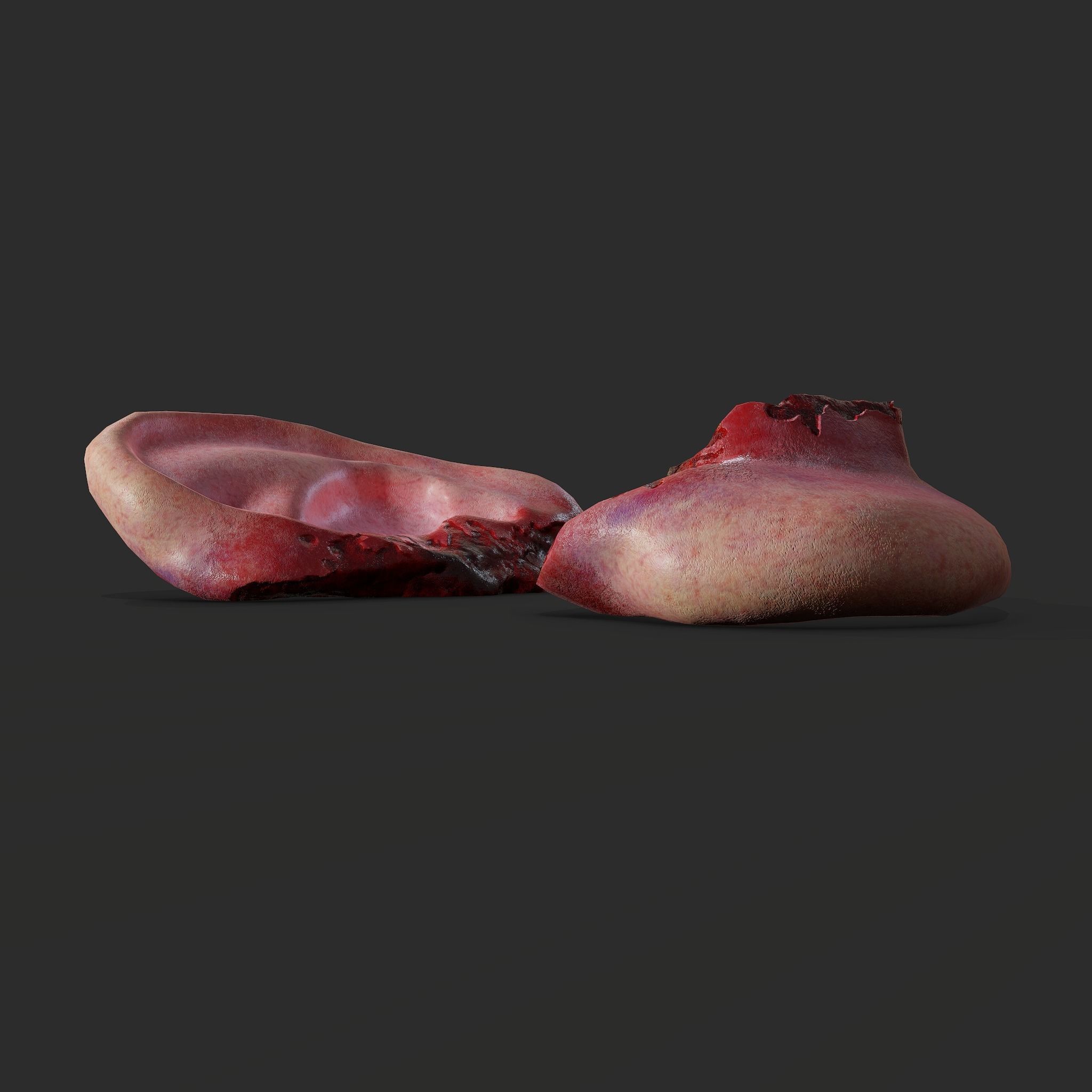 Severed Torso Toes Nose Ear Pack 3D Model Collection_44