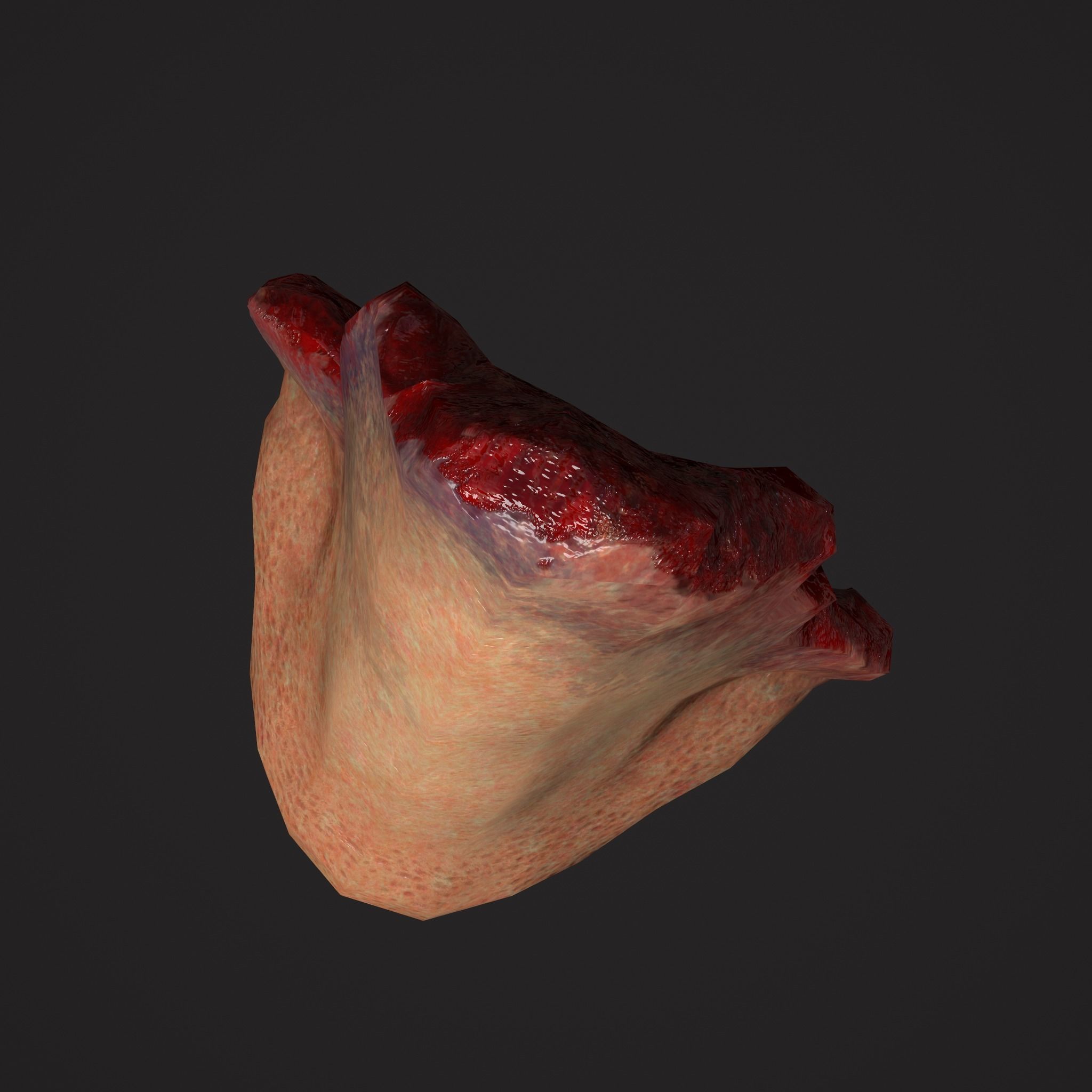 Severed Torso Toes Nose Ear Pack 3D Model Collection_32