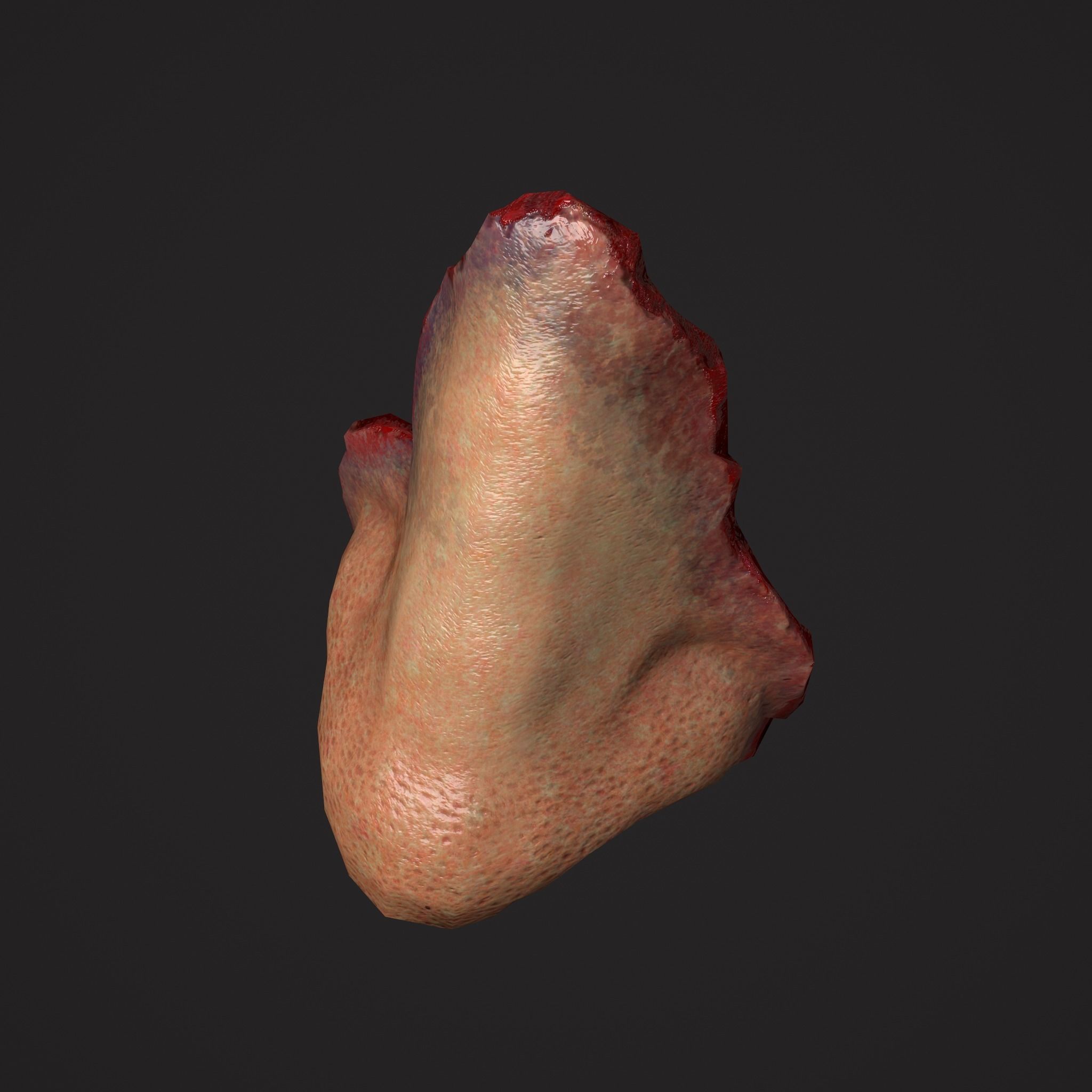 Severed Torso Toes Nose Ear Pack 3D Model Collection_31