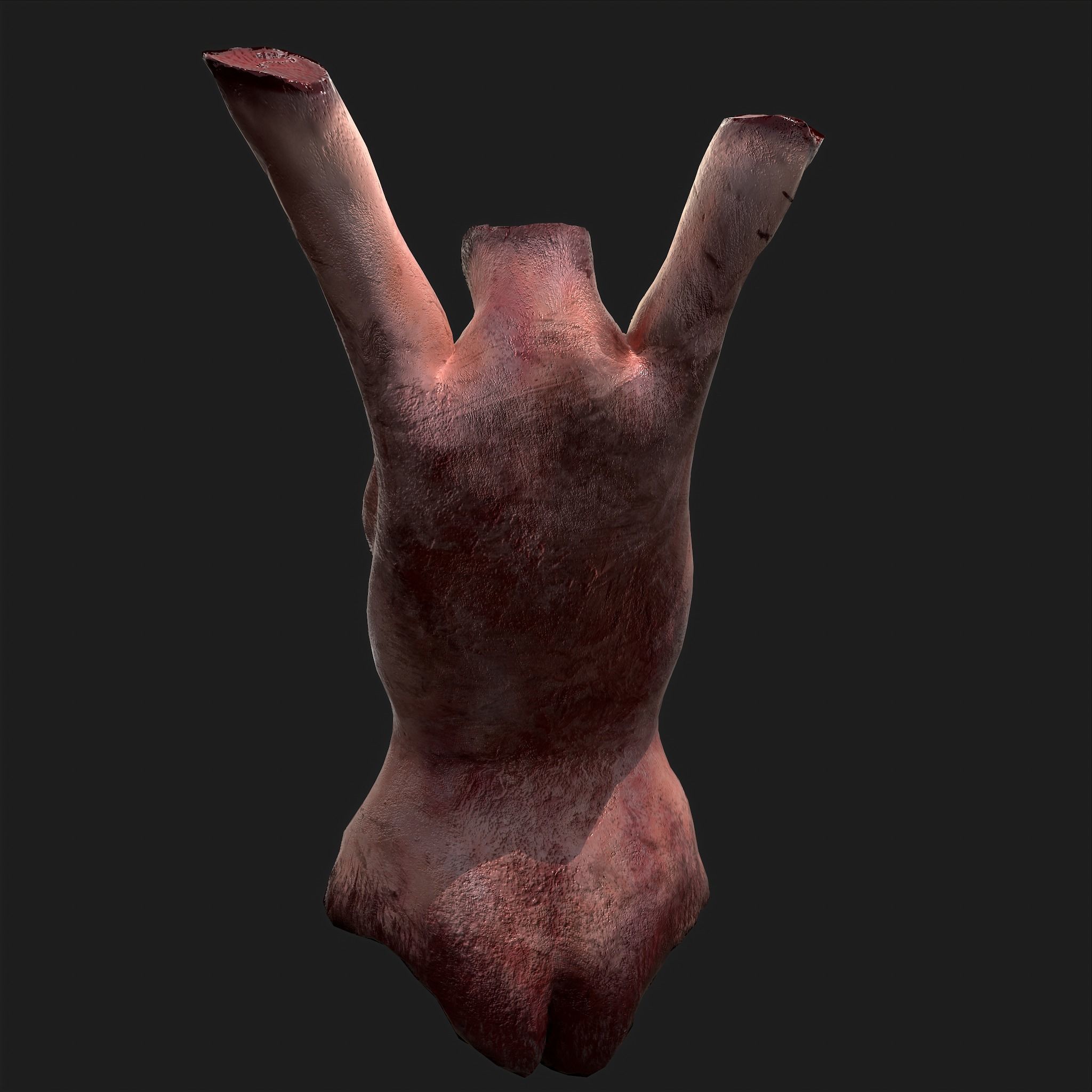Severed Torso Toes Nose Ear Pack 3D Model Collection_10