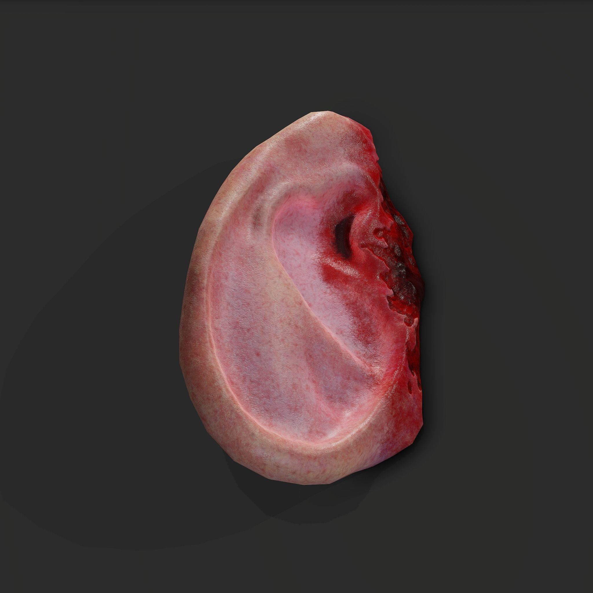 Severed Torso Toes Nose Ear Pack 3D Model Collection_50