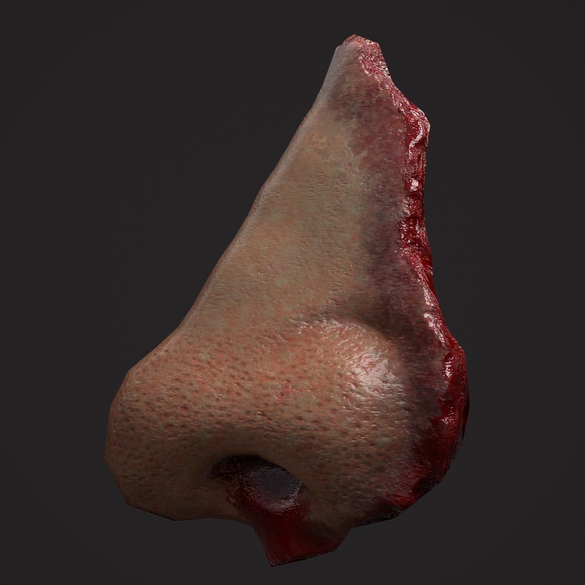 Severed Torso Toes Nose Ear Pack 3D Model Collection_43