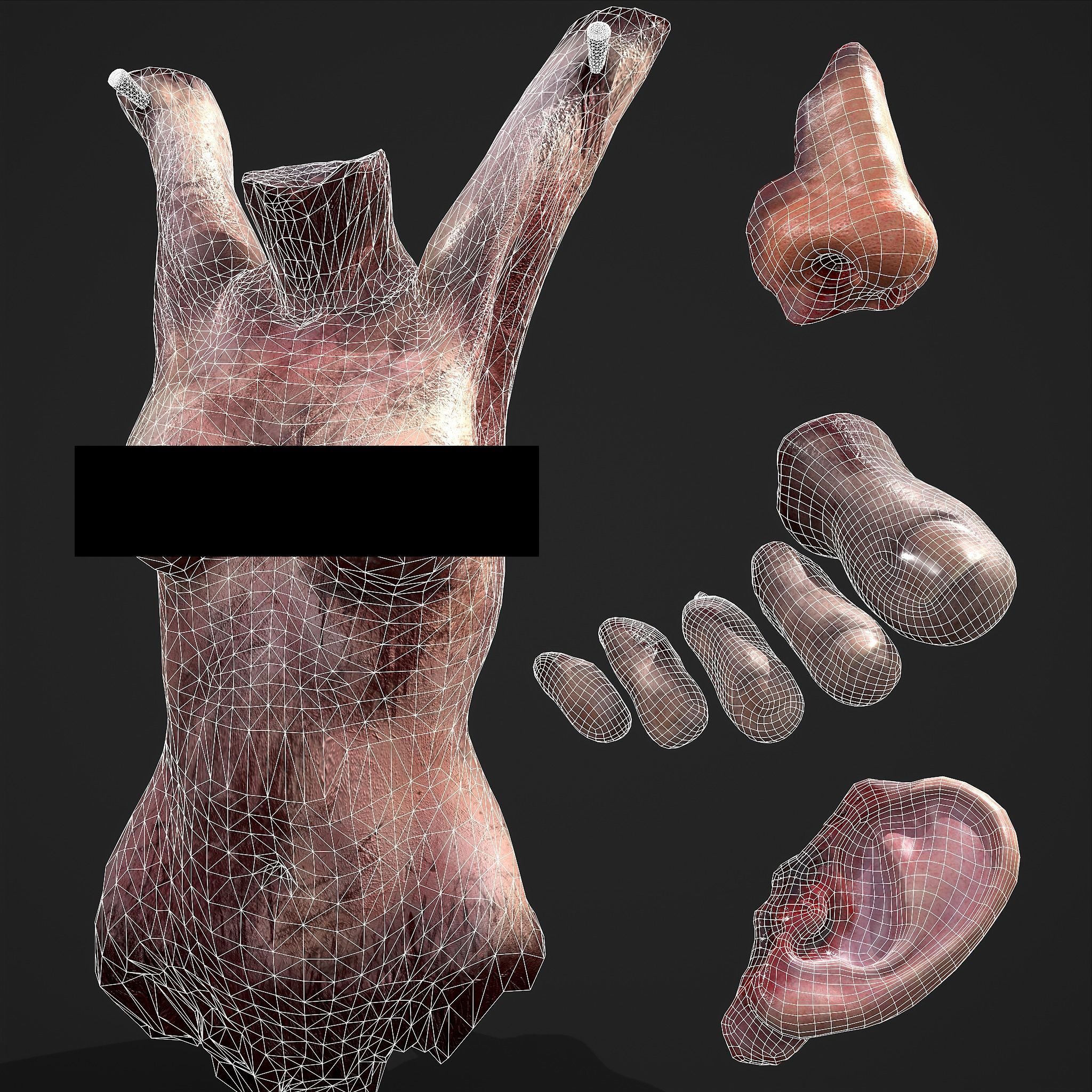 Severed Torso Toes Nose Ear Pack 3D Model Collection_66